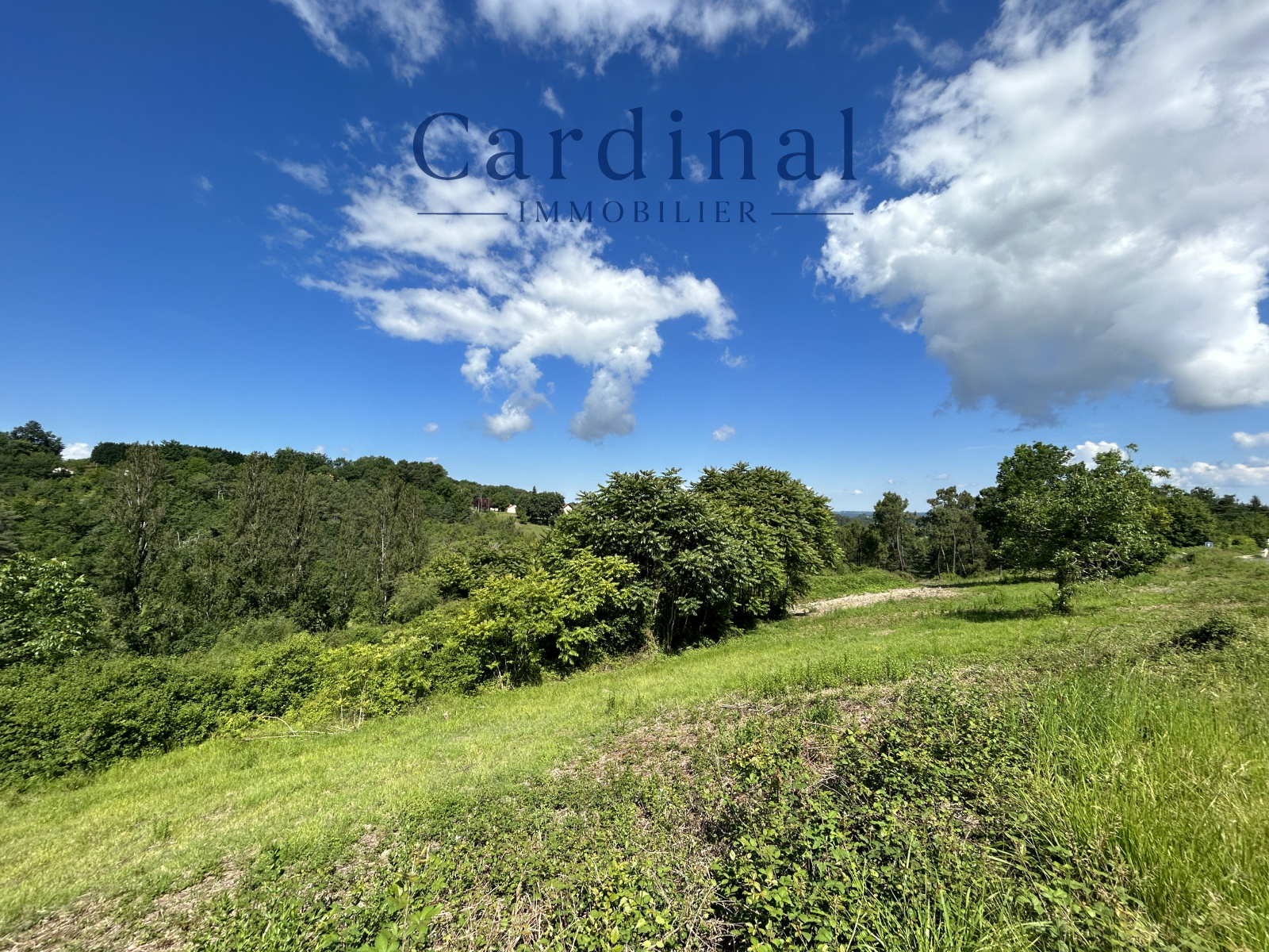 Image_3, Terrain, Coursac, ref :CARDINAL 123