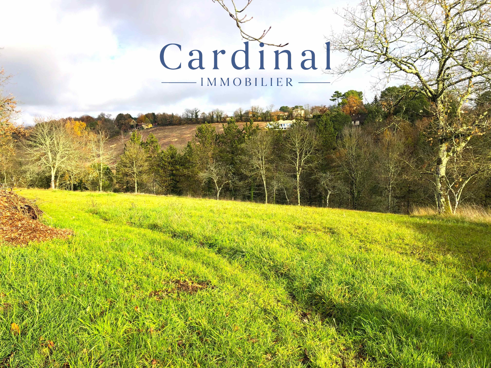Image_1, Terrain, Coursac, ref :CARDINAL 105