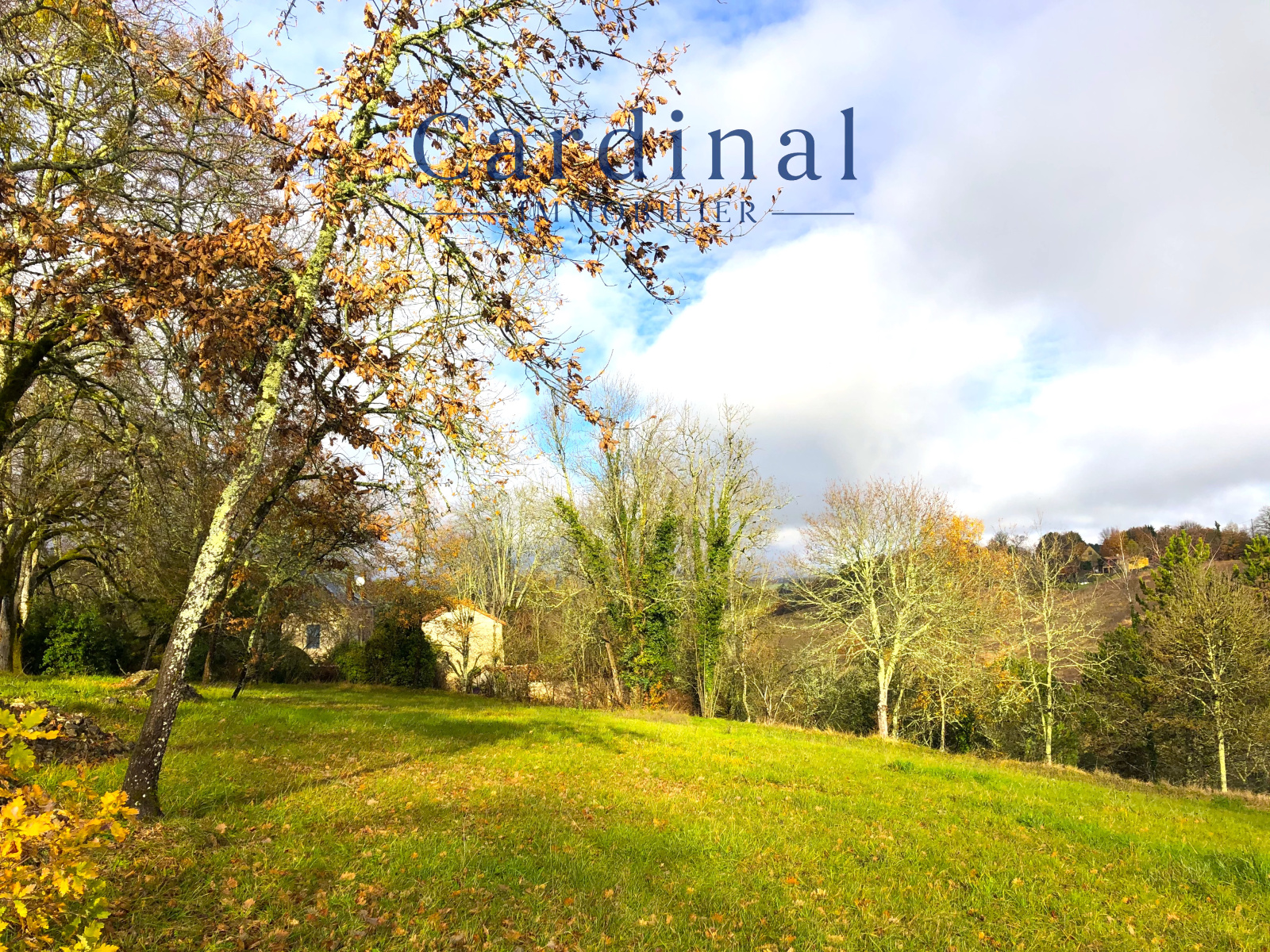 Image_2, Terrain, Coursac, ref :CARDINAL 105