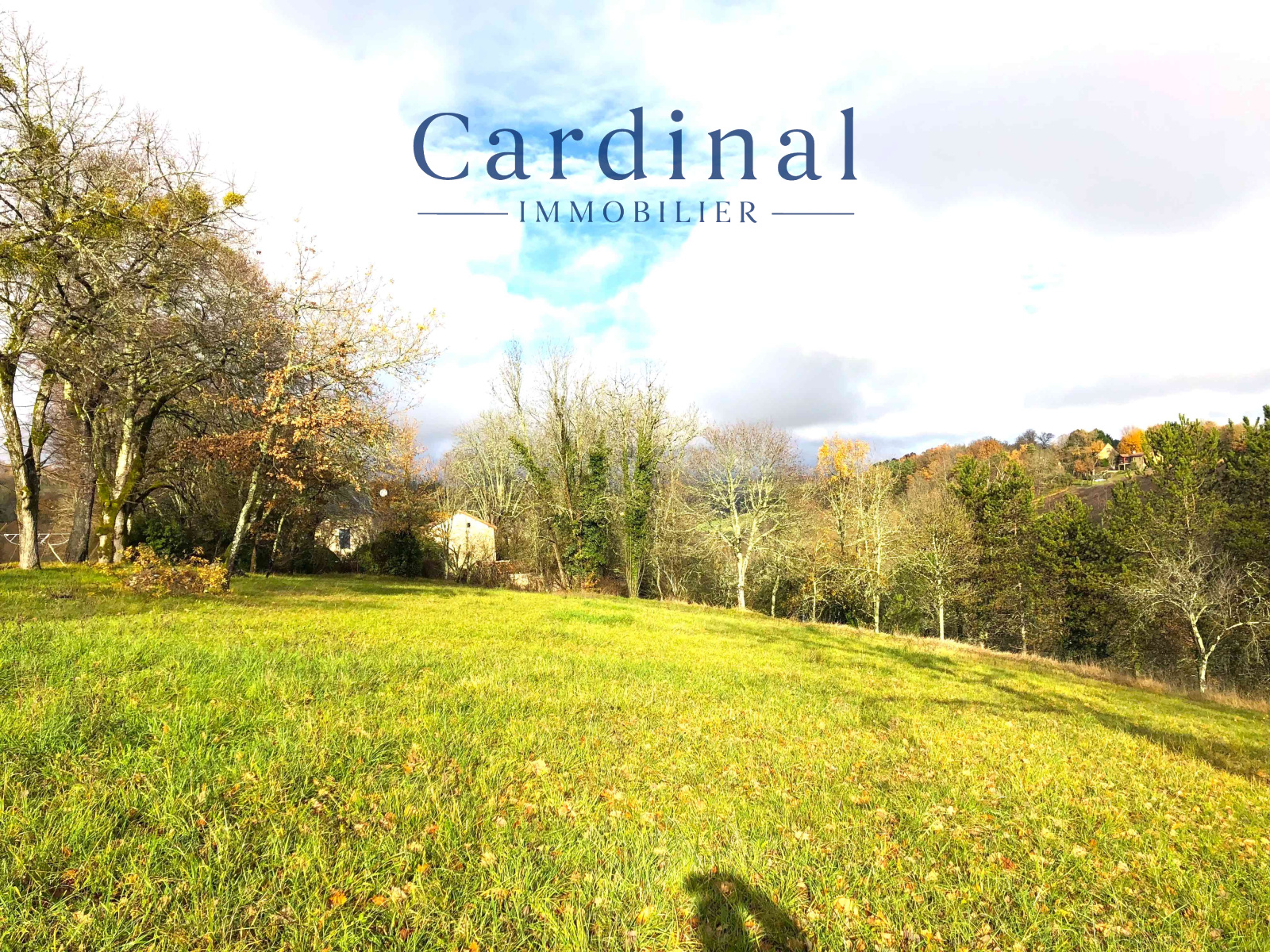 Image_2, Terrain, Coursac, ref :CARDINAL 104