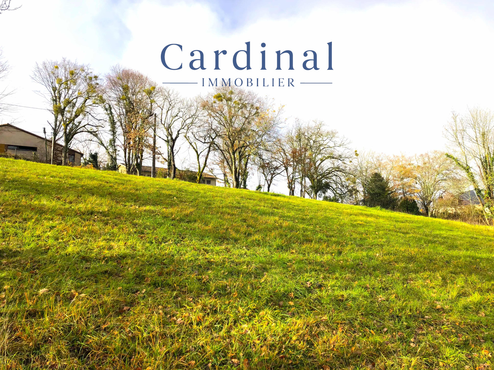 Image_1, Terrain, Coursac, ref :CARDINAL 104