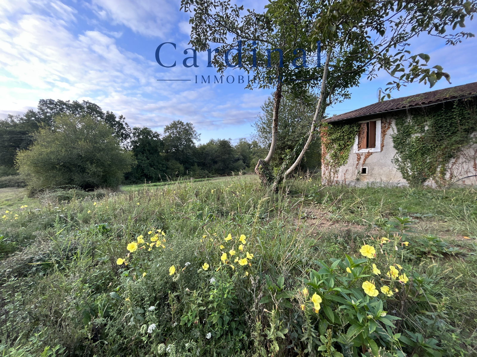 Image_3, Maison, Coursac, ref :CARDINAL 103