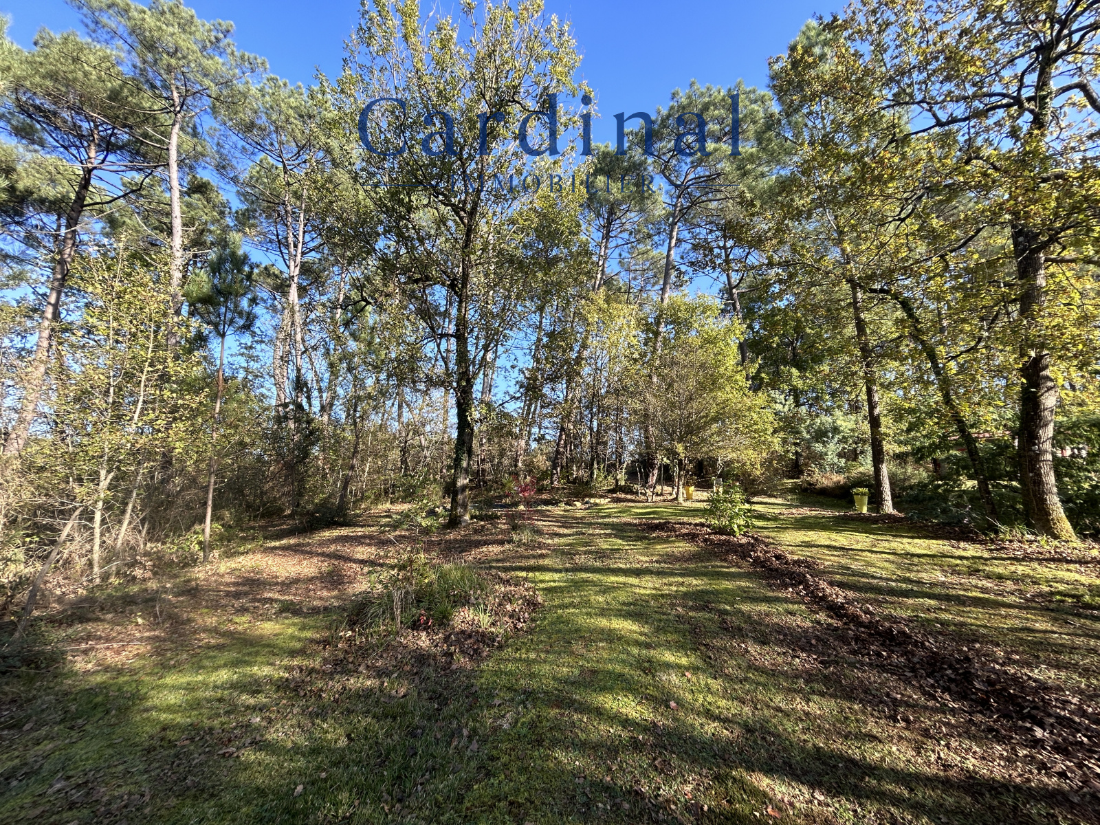 Image_17, Maison, Coursac, ref :CARDINAL 101