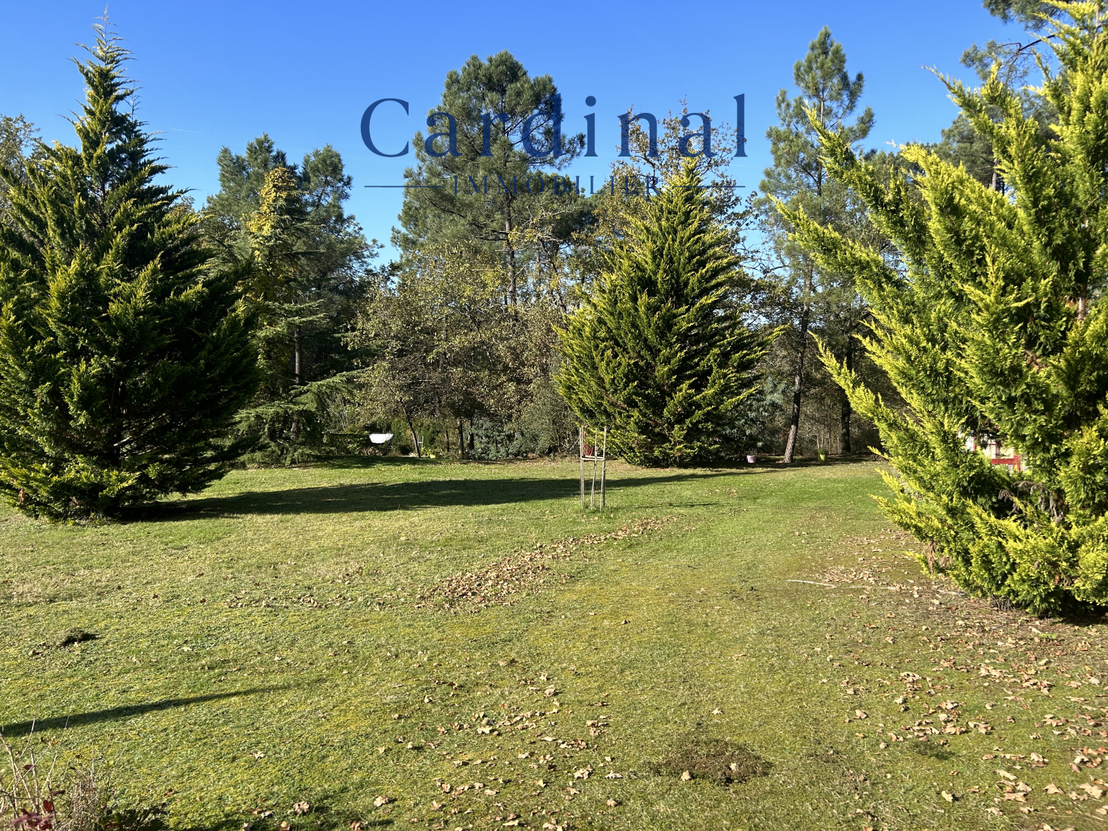 Image_10, Maison, Coursac, ref :CARDINAL 101