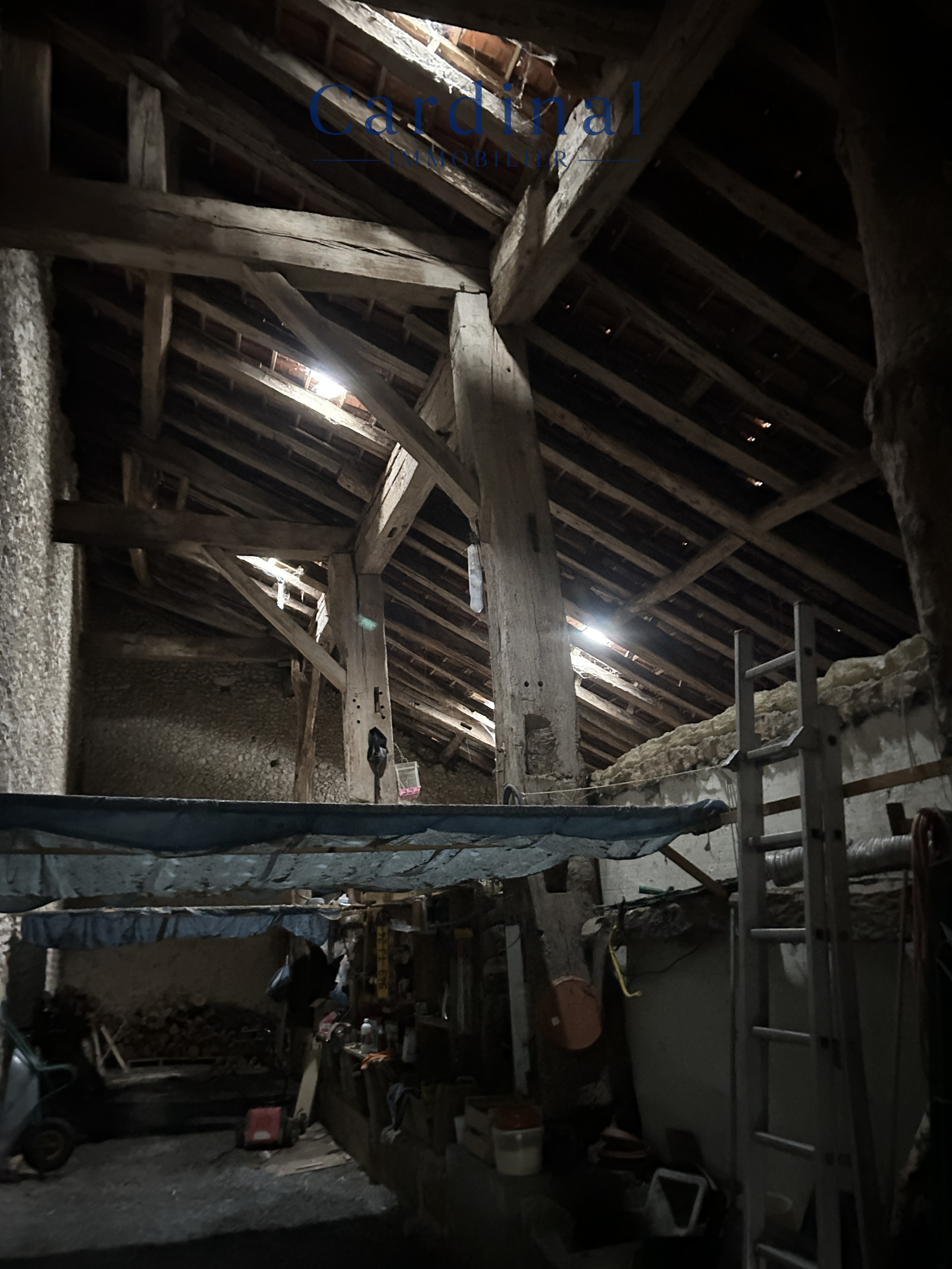 Image_18, Maison, Chantérac, ref :CARDINAL 55