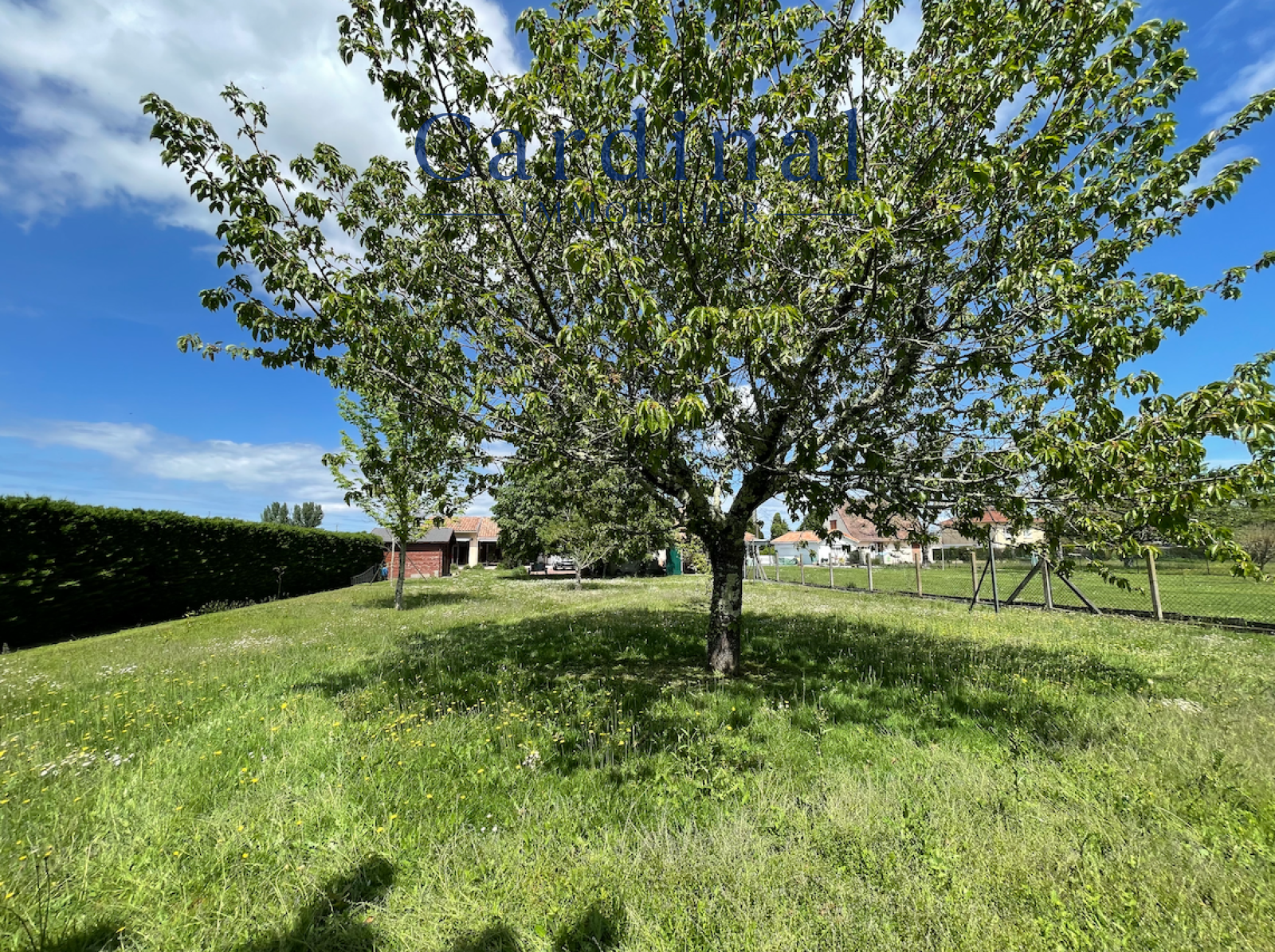 Image_4, Maison, Neuvic, ref :CARDINAL 35