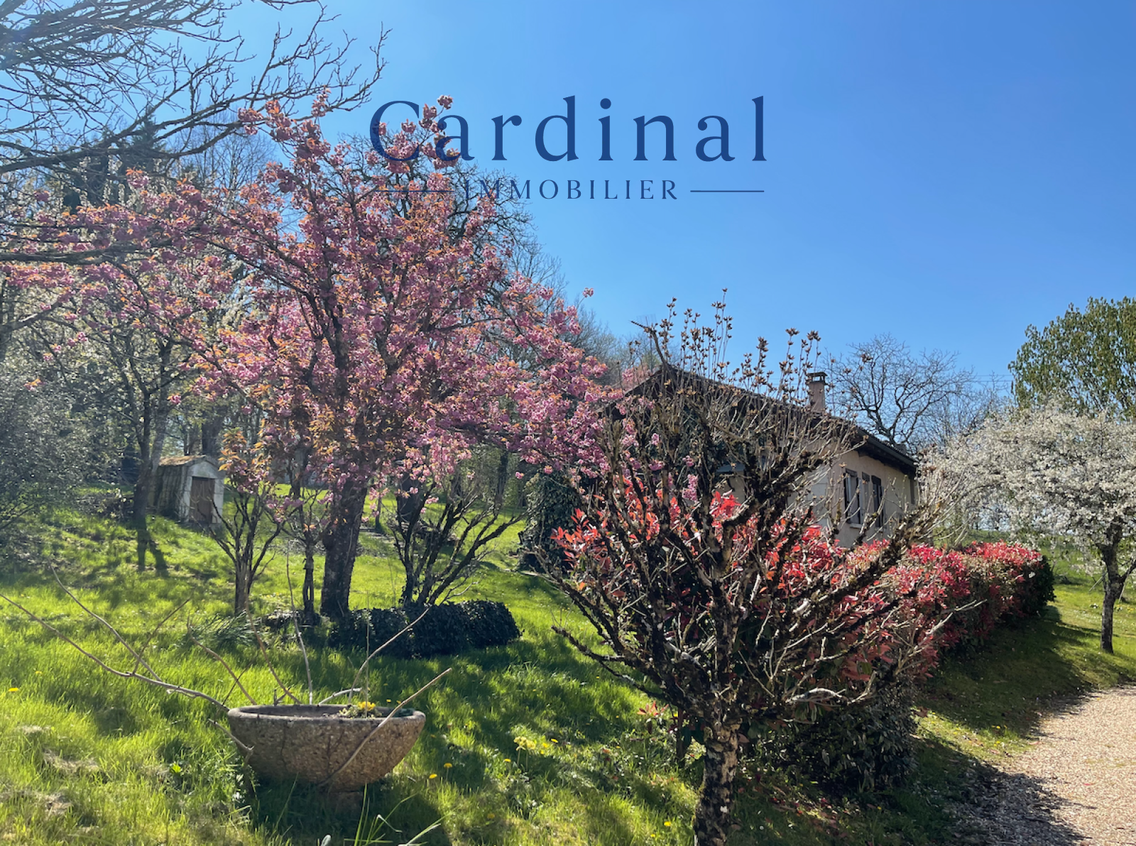 Image_16, Bastide, Coursac, ref :CARDINAL09