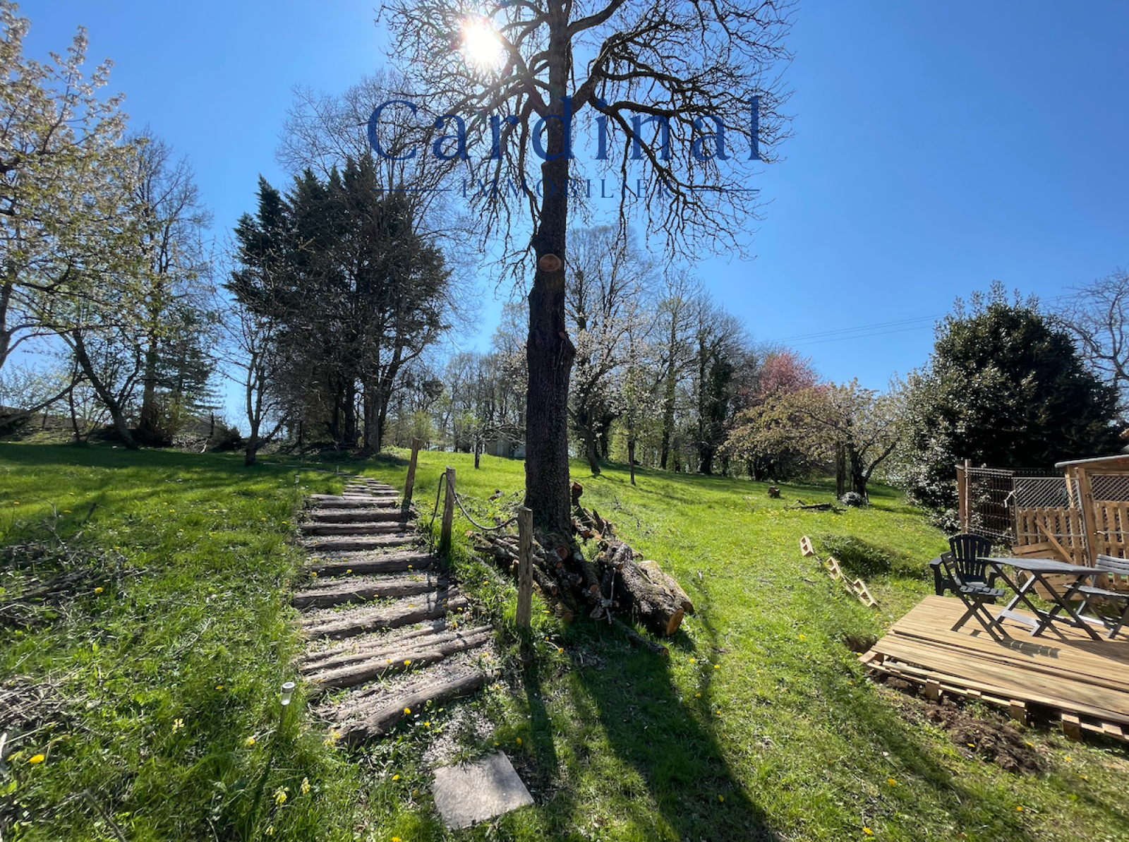 Image_5, Bastide, Coursac, ref :CARDINAL09