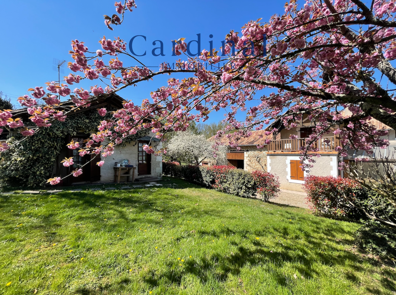 Image_4, Bastide, Coursac, ref :CARDINAL09