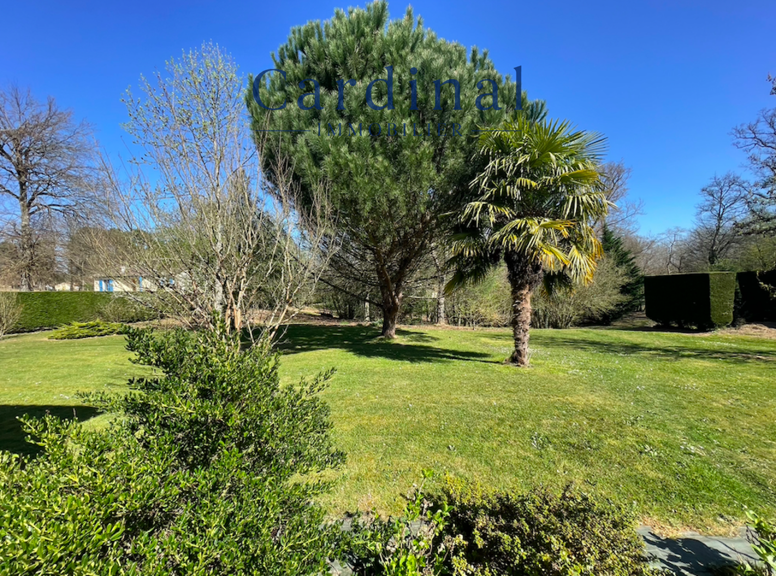 Image_21, Maison, Coursac, ref :CARDINAL01