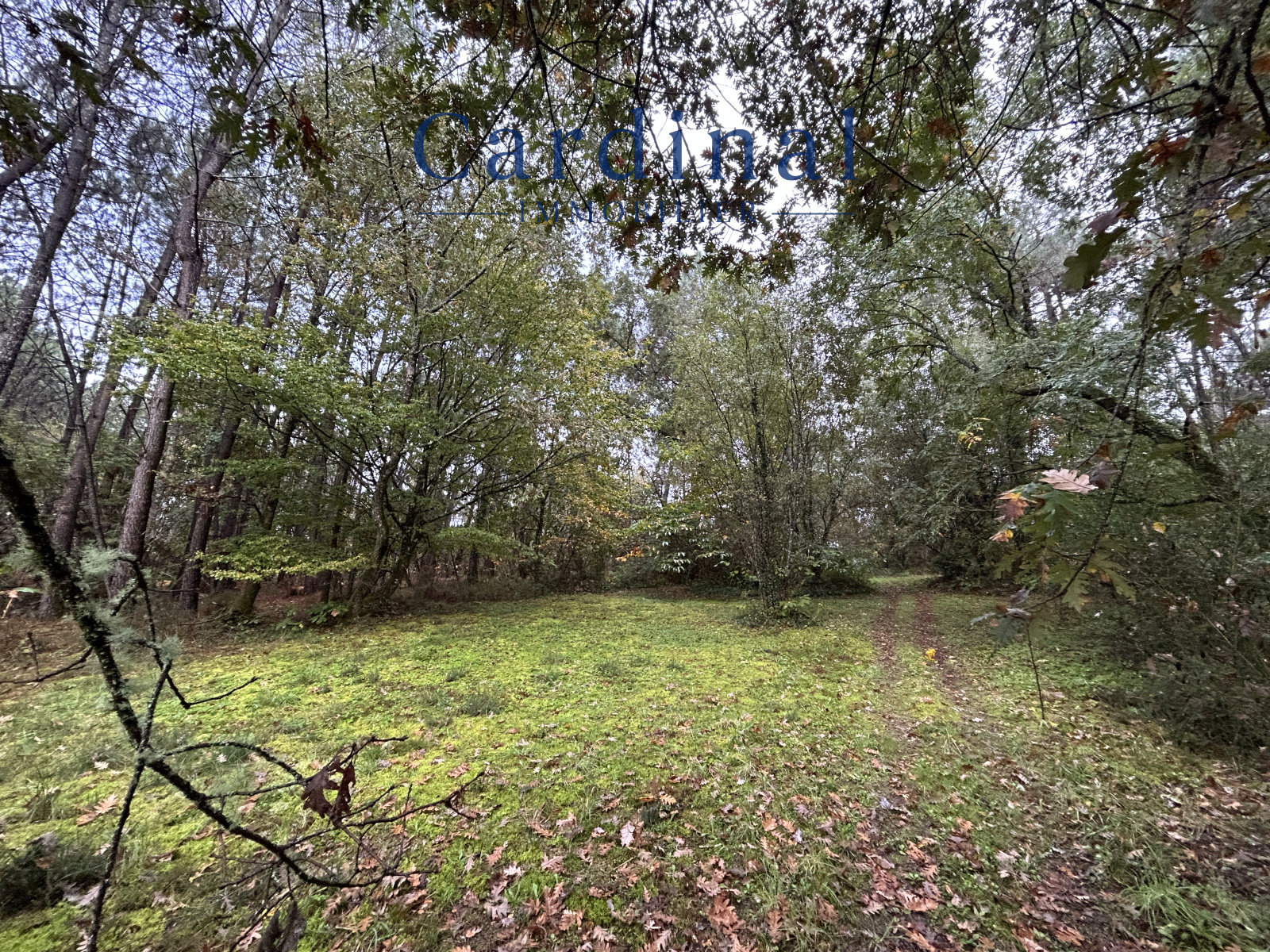 Image_17, Maison, Saint-Léon-sur-l'Isle, ref :CARDINAL 109