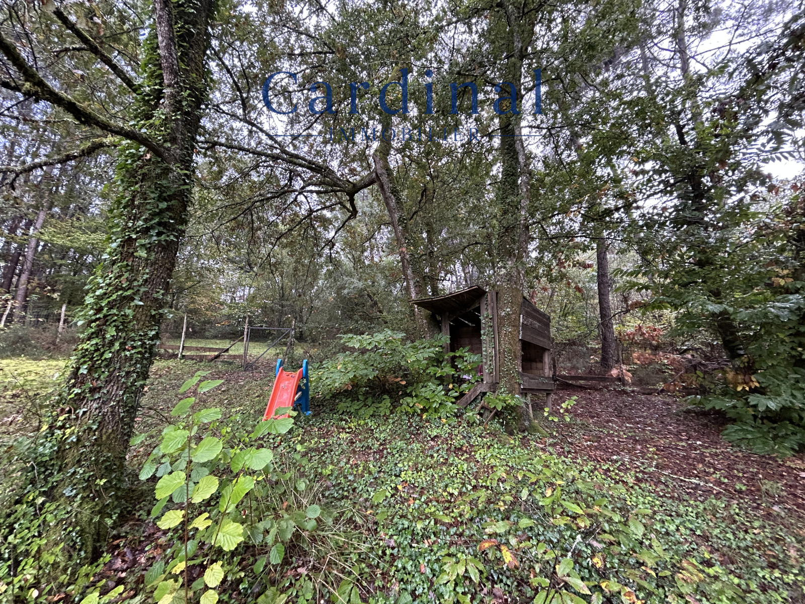 Image_19, Maison, Saint-Léon-sur-l'Isle, ref :CARDINAL 109