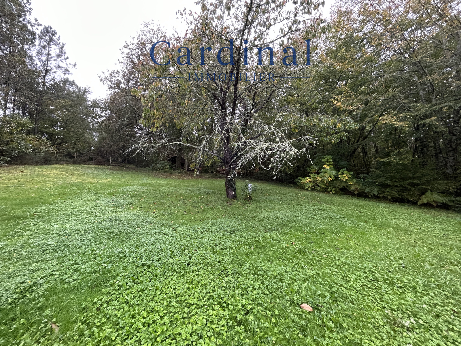 Image_15, Maison, Saint-Léon-sur-l'Isle, ref :CARDINAL 109