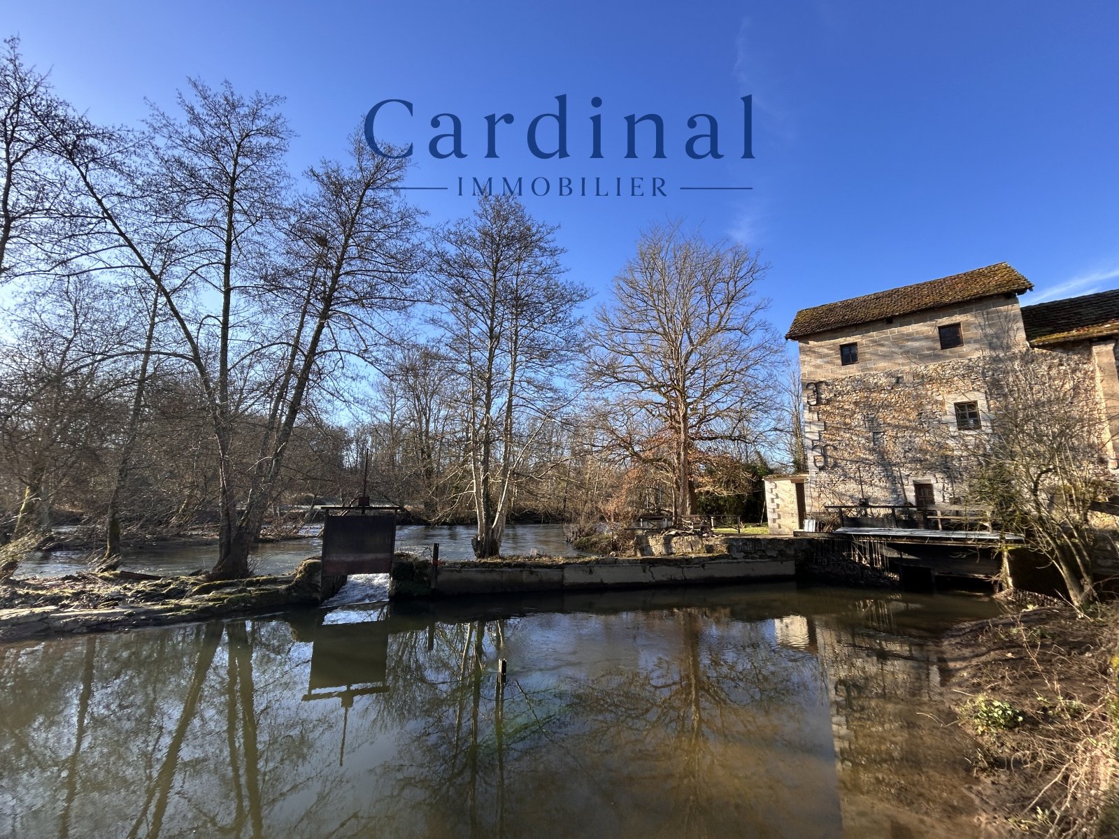 Image_6, Maison, Savignac-les-Églises, ref :CARDINAL 121