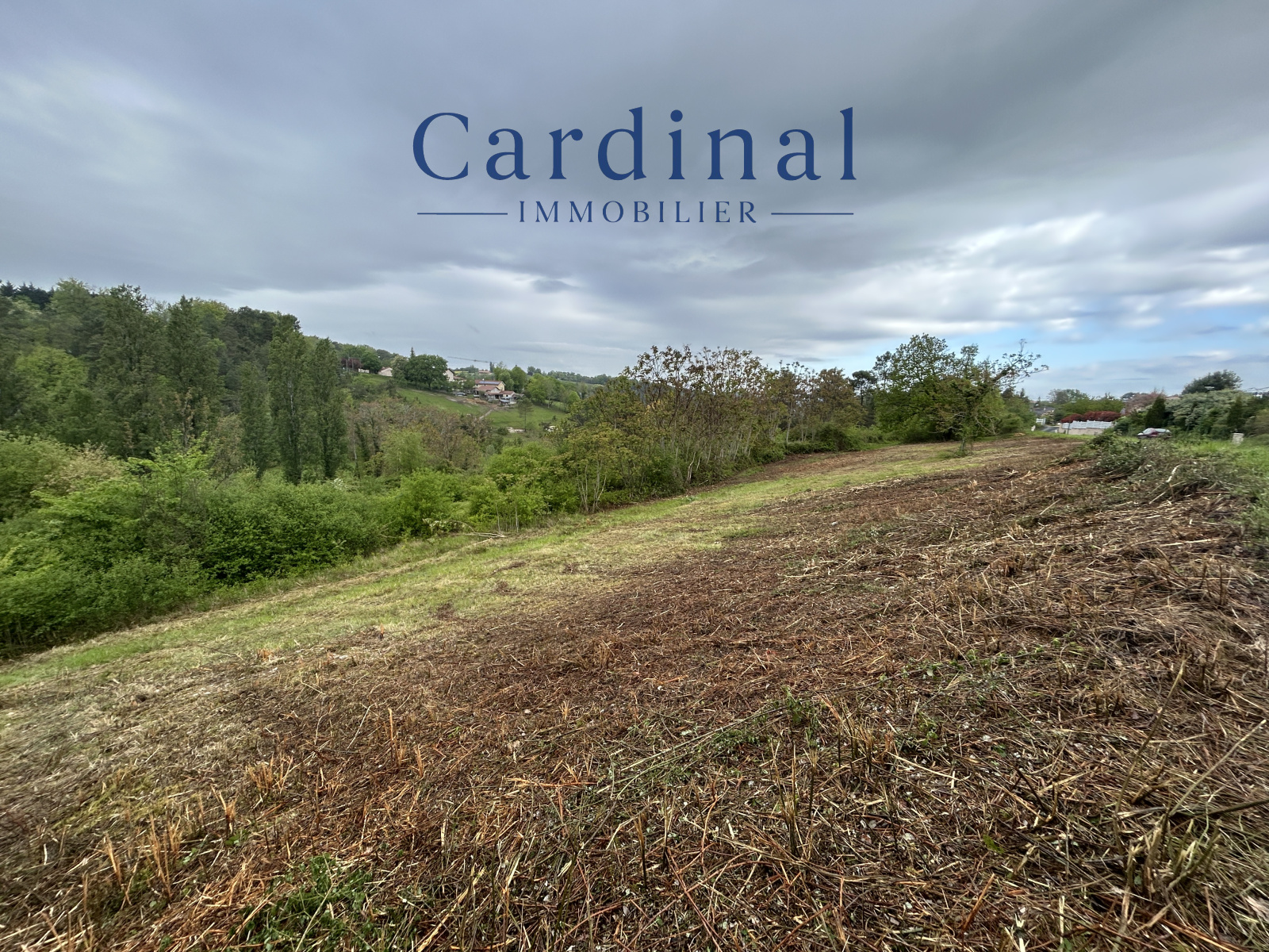 Image_4, Terrain, Coursac, ref :CARDINAL 27