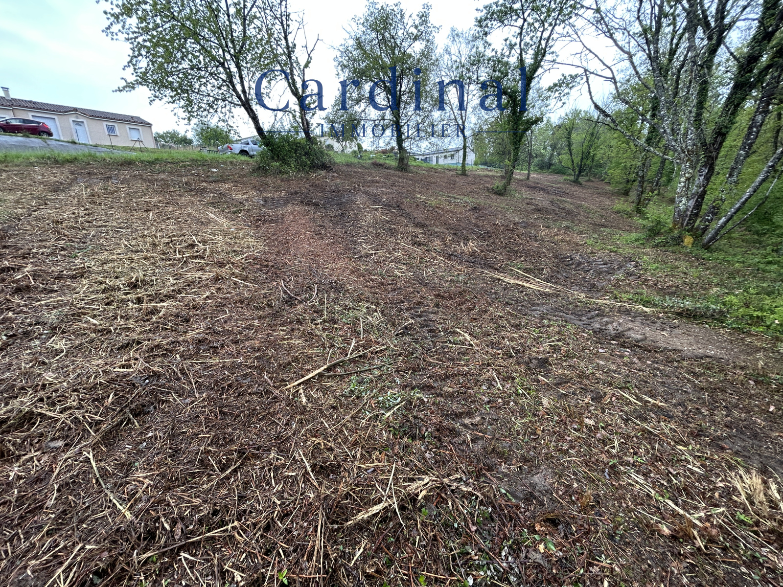 Image_8, Terrain, Coursac, ref :CARDINAL 27