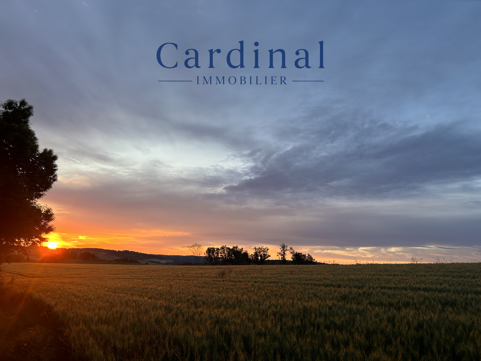 Image_11, Terrain, Coursac, ref :CARDINAL 27