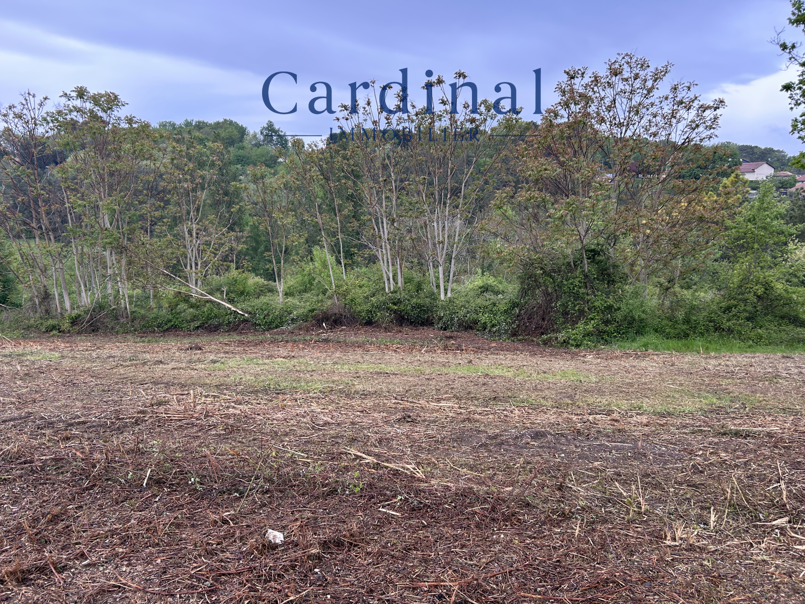 Image_9, Terrain, Coursac, ref :CARDINAL 27