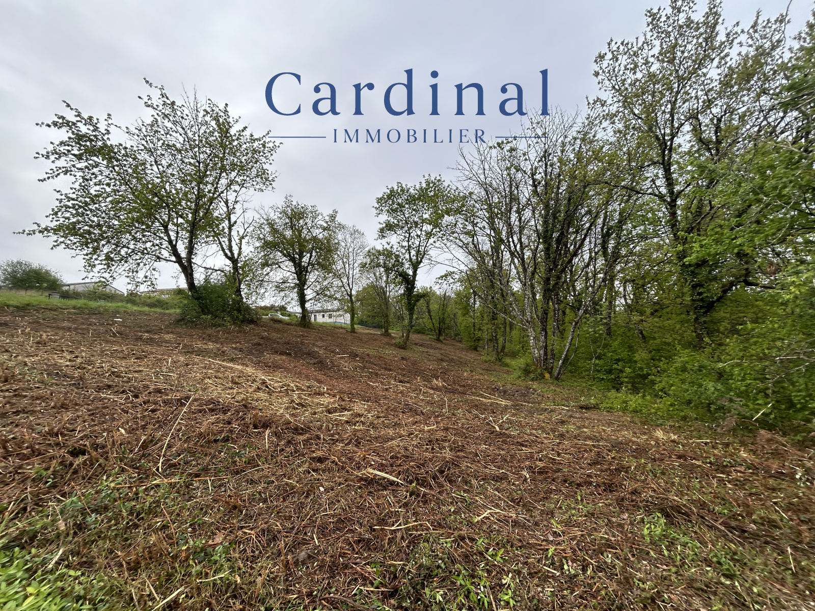 Image_6, Terrain, Coursac, ref :CARDINAL 27