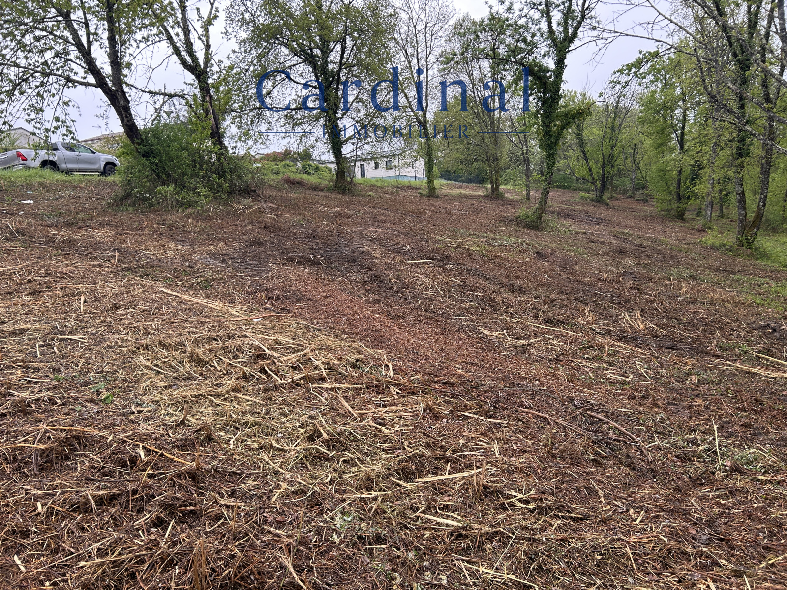 Image_10, Terrain, Coursac, ref :CARDINAL 27