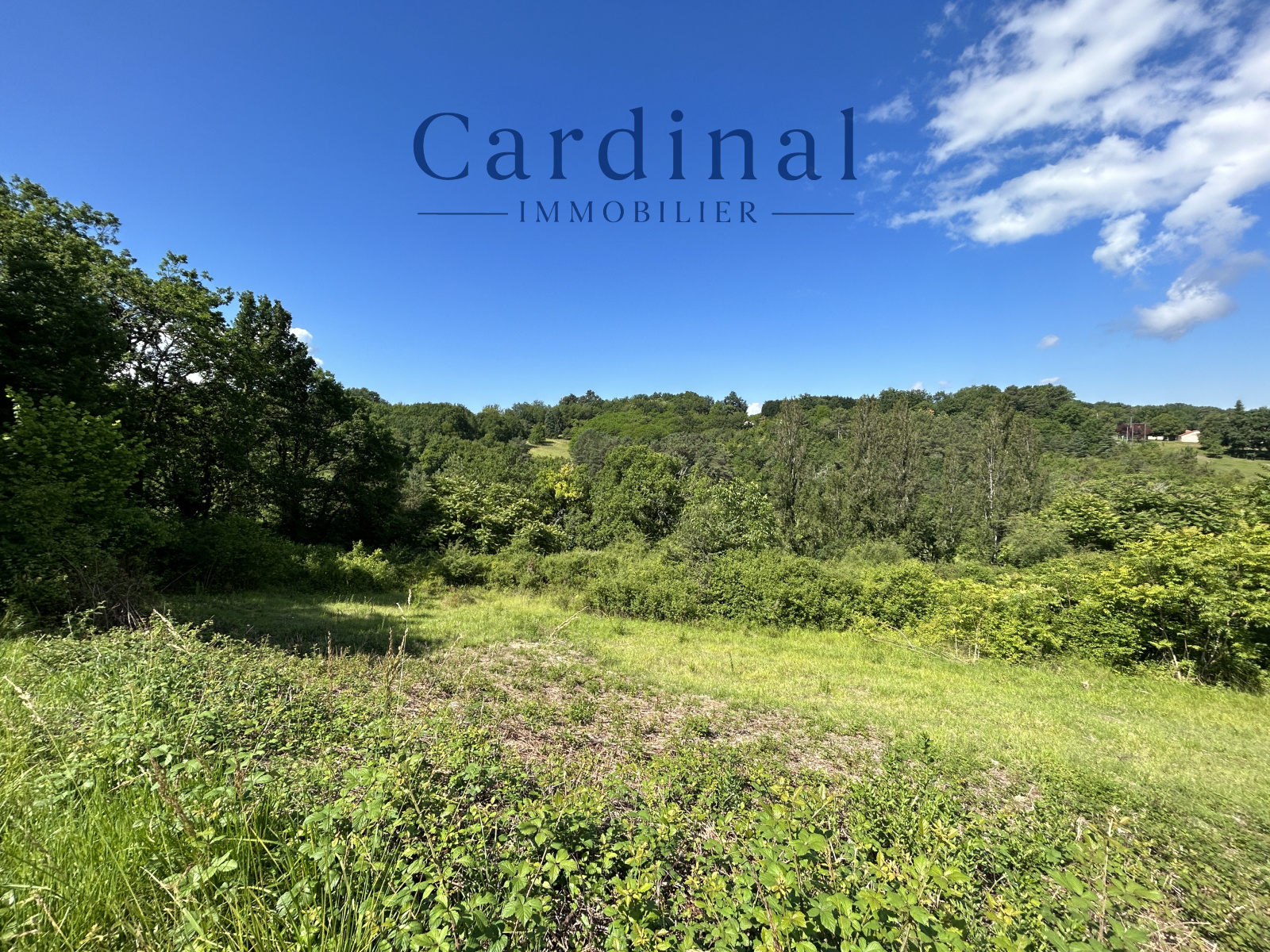 Image_15, Terrain, Coursac, ref :CARDINAL 27