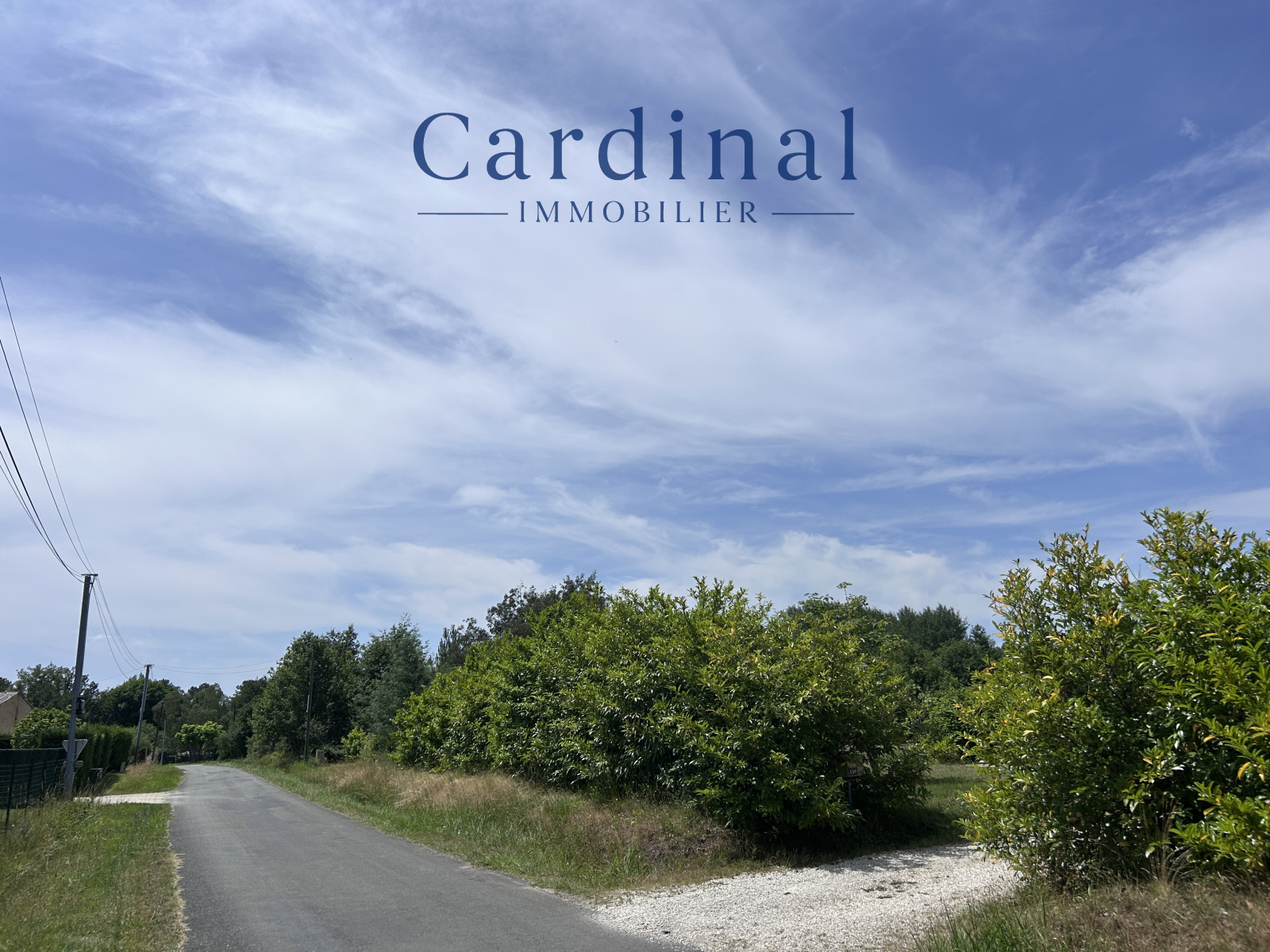 Image_3, Terrain, Vaunac, ref :CARD 132