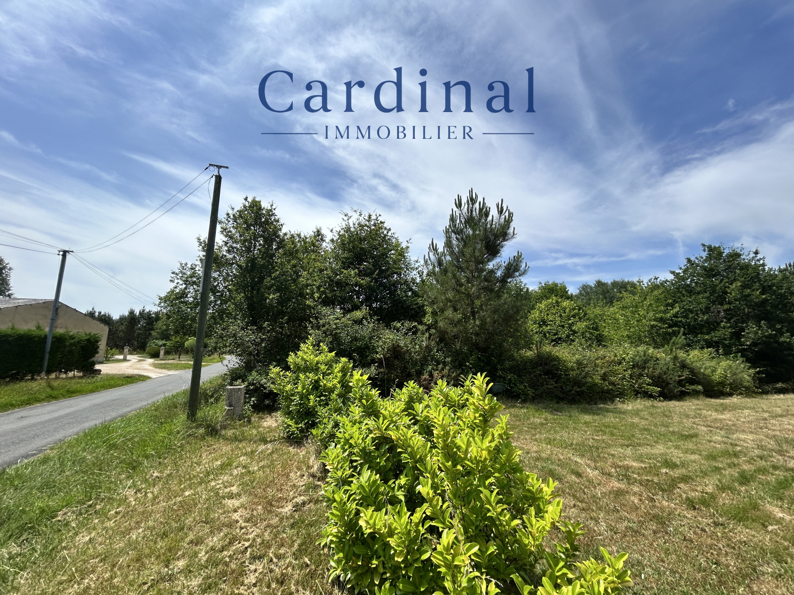 Image_2, Terrain, Vaunac, ref :CARD 132