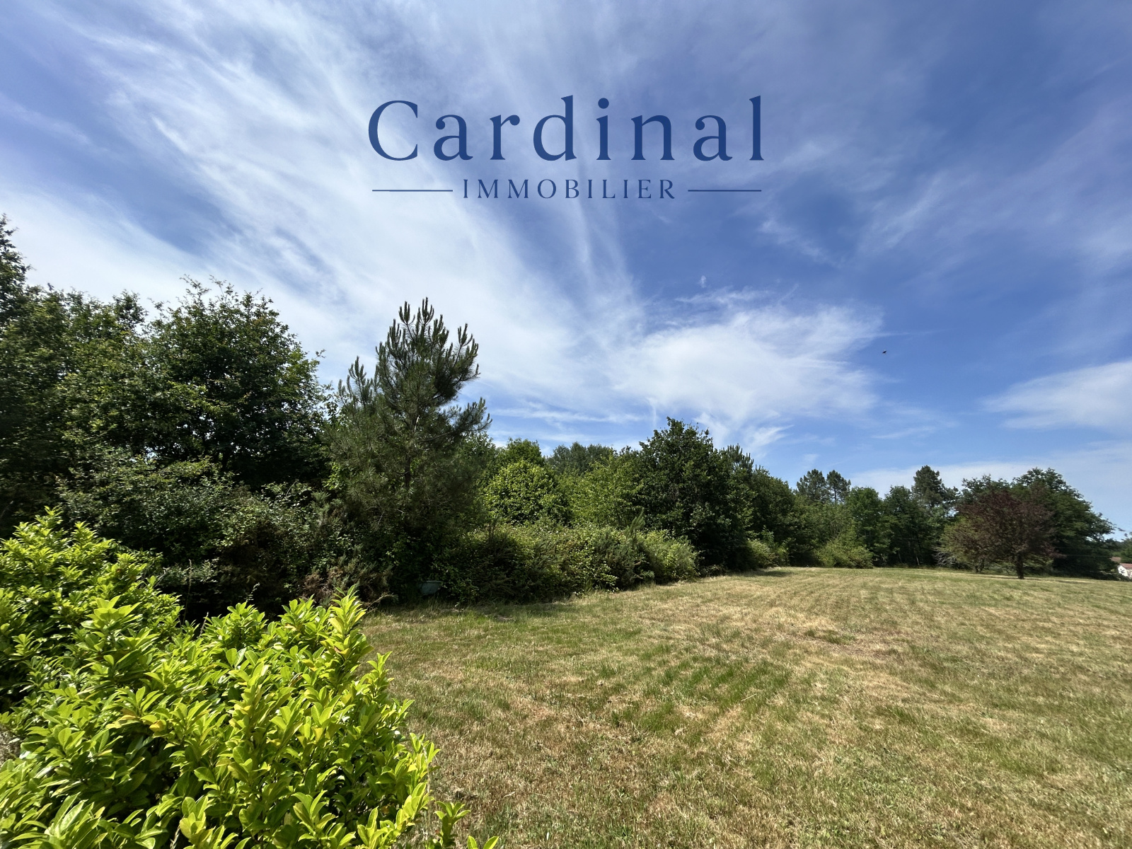 Image_1, Terrain, Vaunac, ref :CARD 132