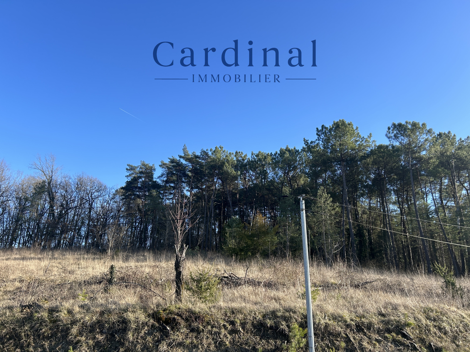 Image_5, Terrain, Coursac, ref :CARDINAL 120