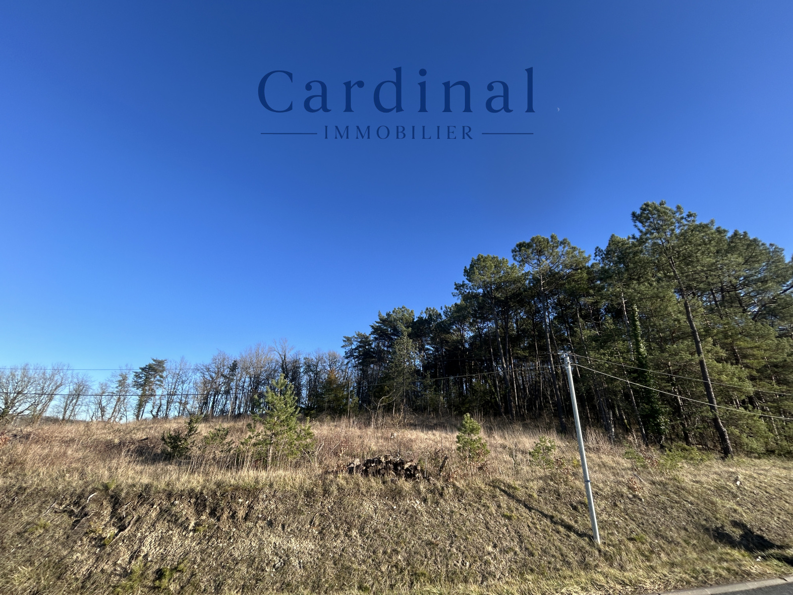 Image_6, Terrain, Coursac, ref :CARDINAL 120