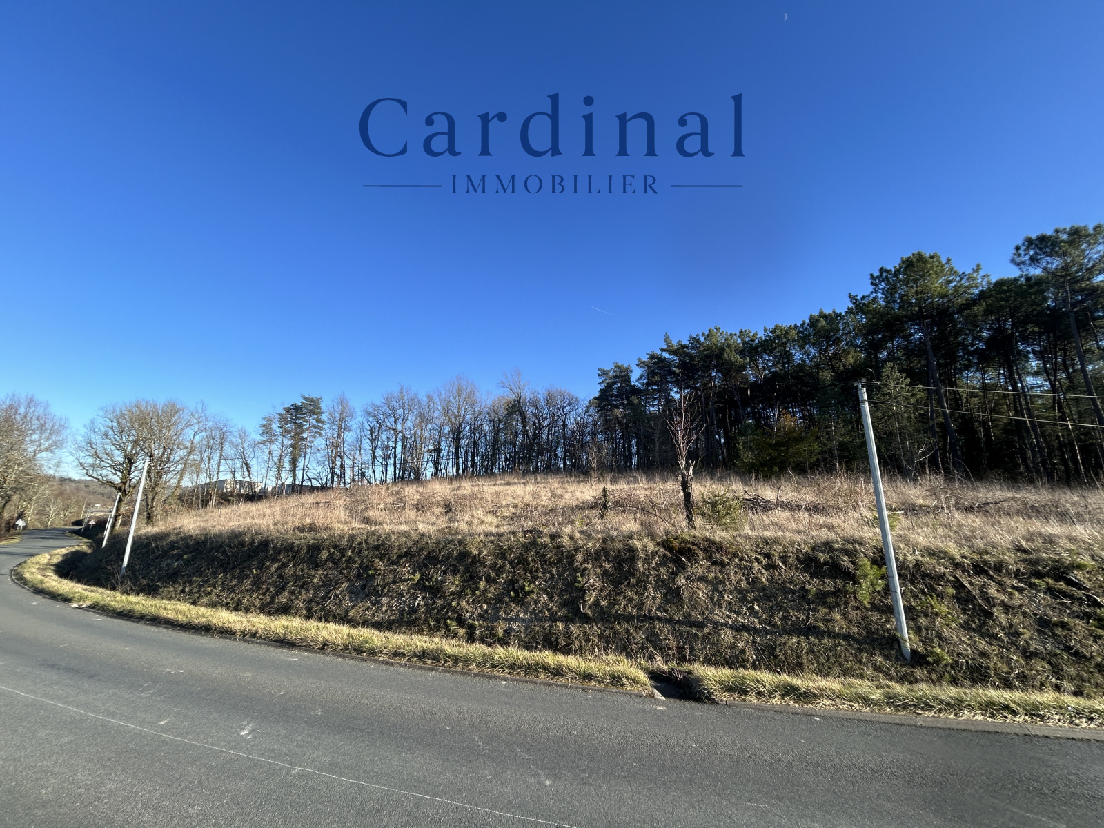 Image_2, Terrain, Coursac, ref :CARDINAL 120