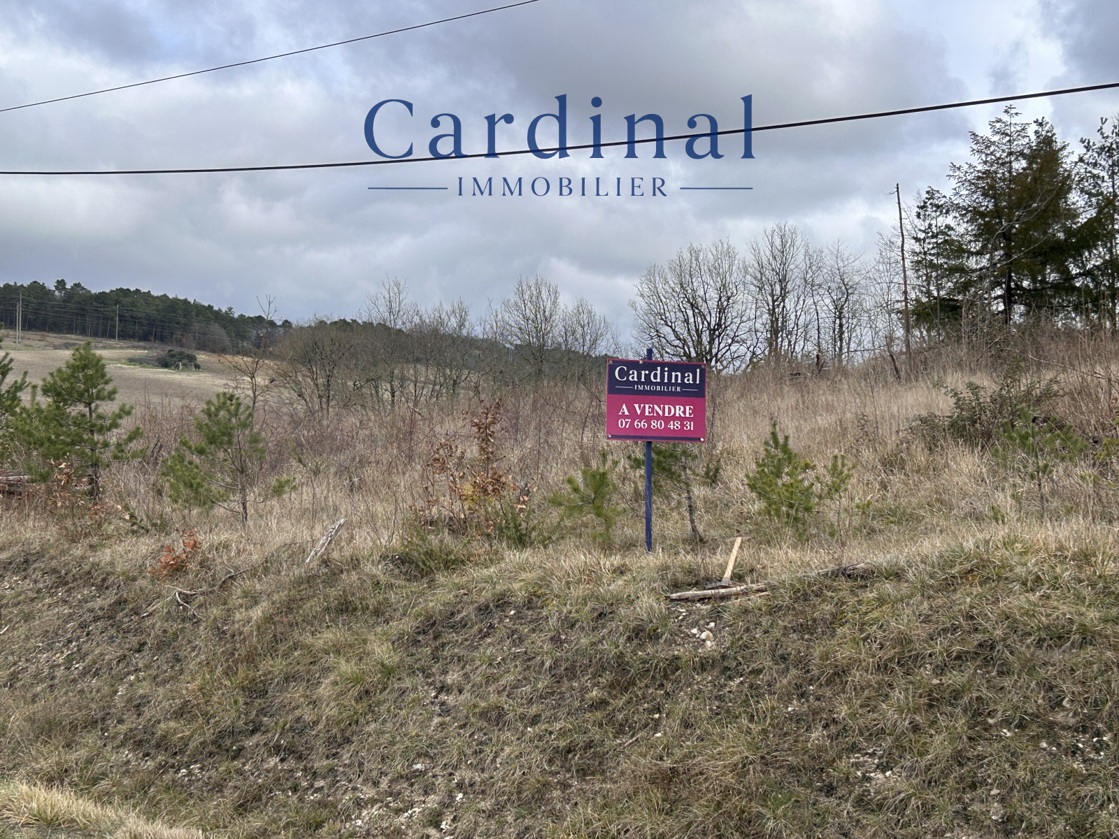 Image_8, Terrain, Coursac, ref :CARDINAL 120