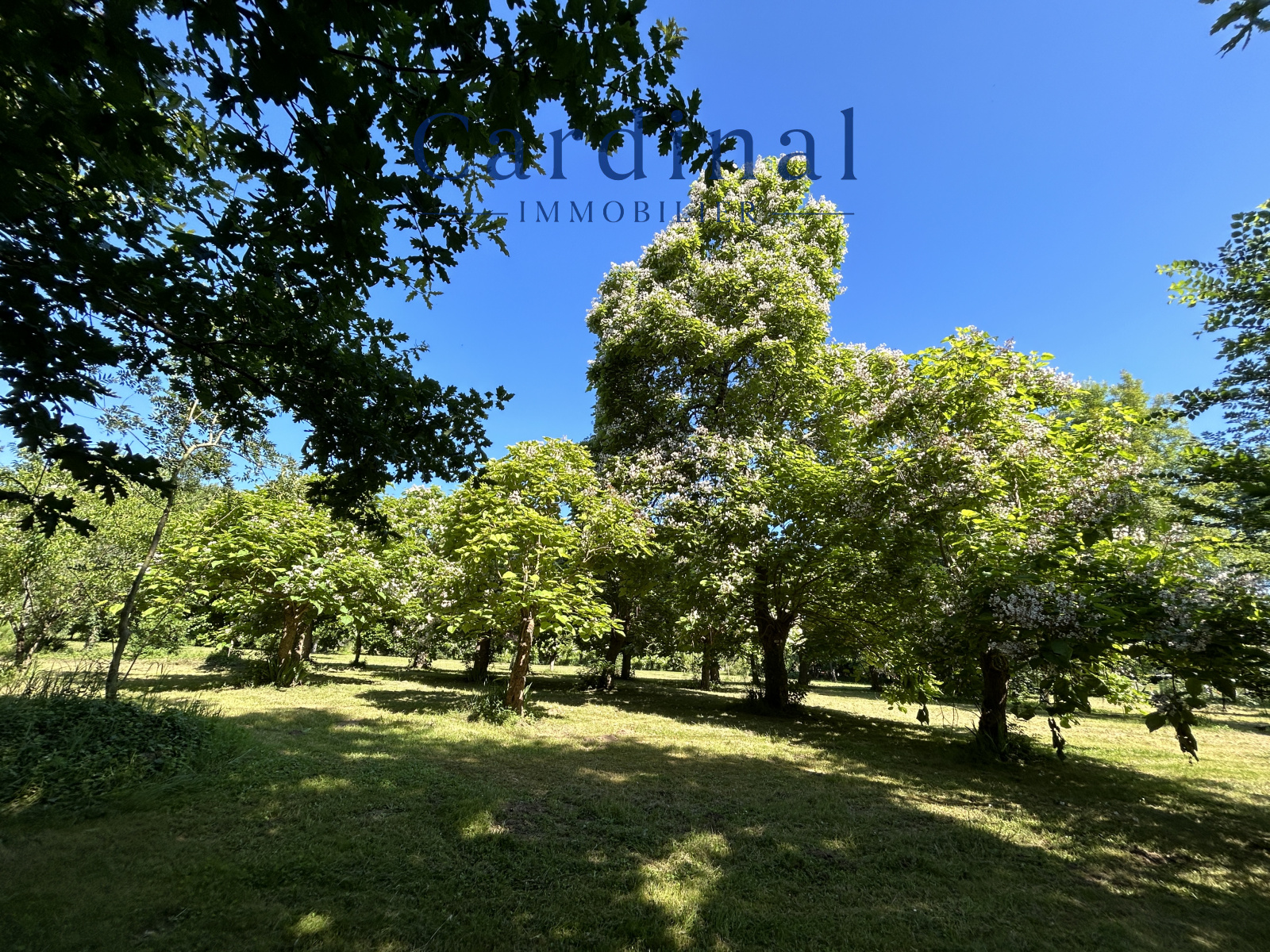 Image_70, Maison, Saint-Astier, ref :Cardinal 54