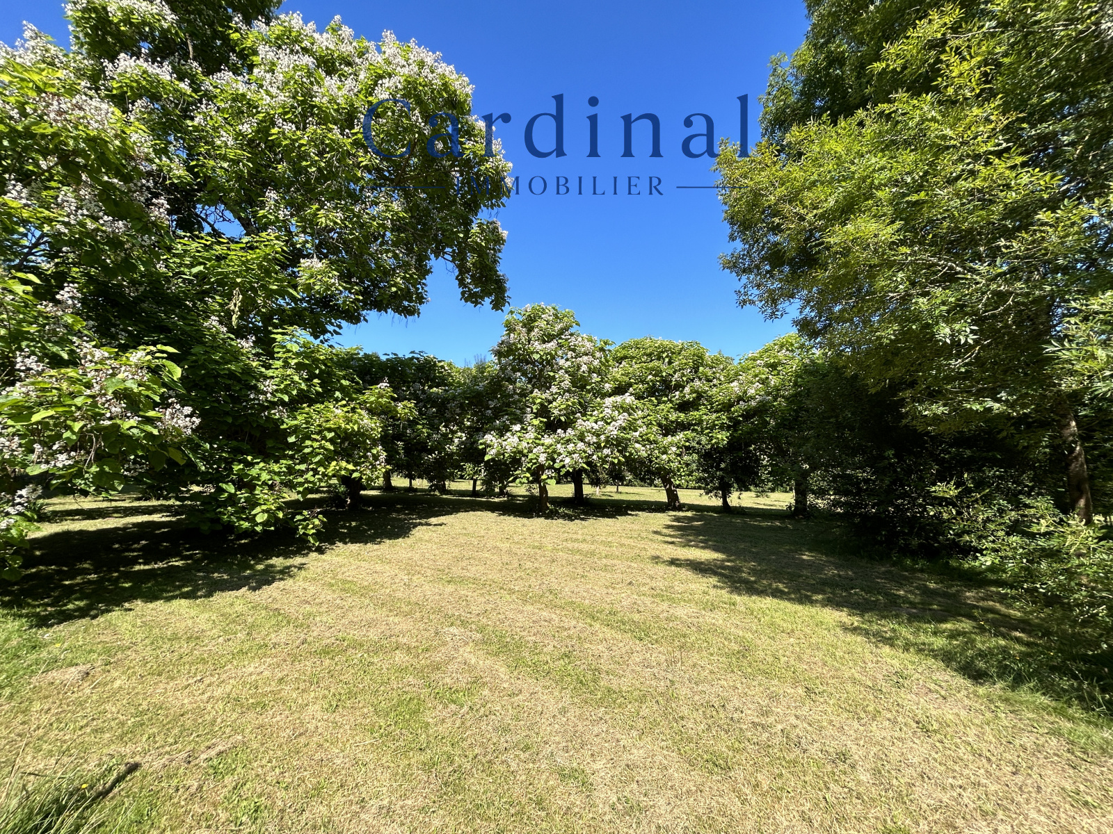 Image_72, Maison, Saint-Astier, ref :Cardinal 54