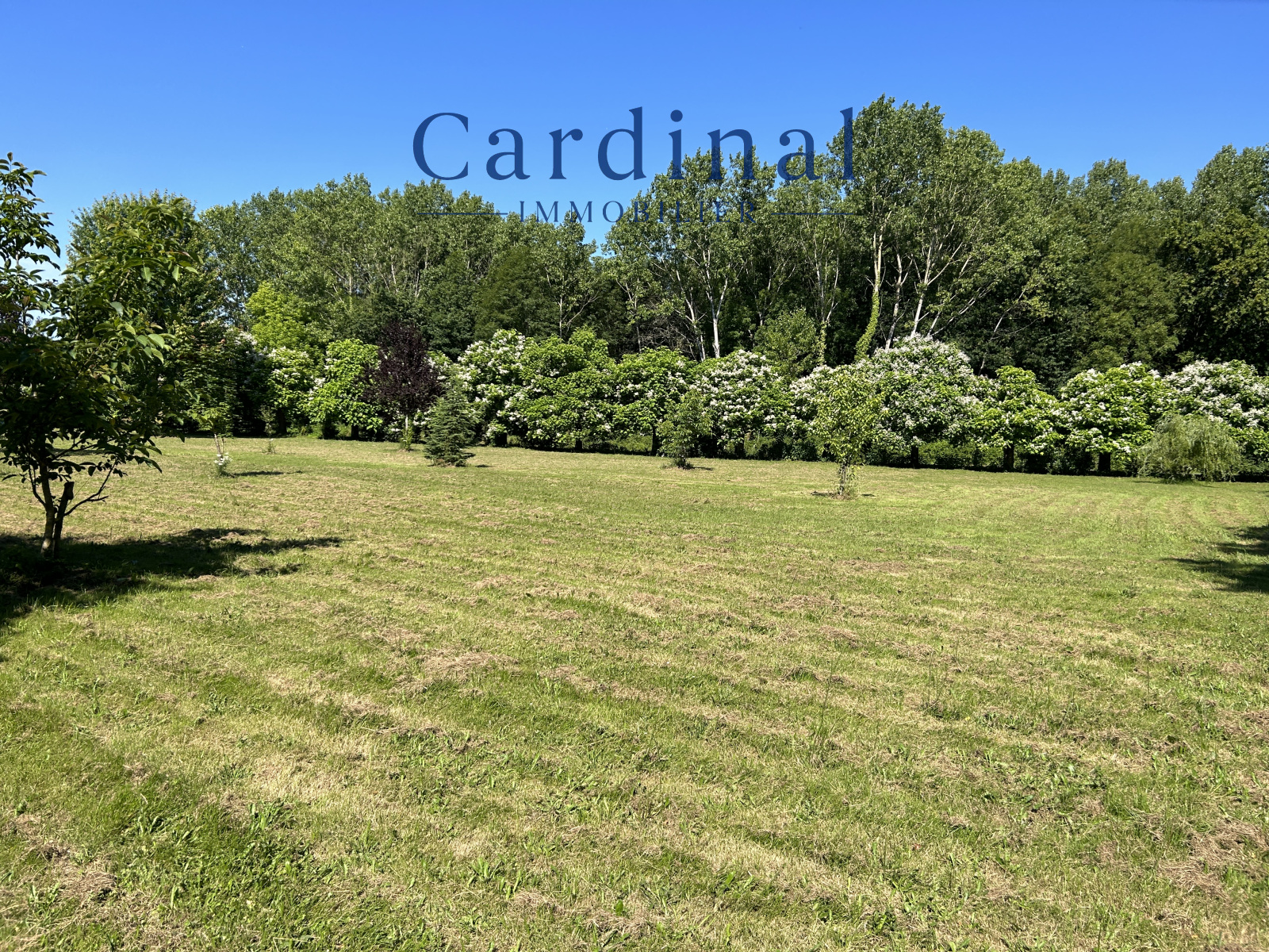 Image_71, Maison, Saint-Astier, ref :Cardinal 54