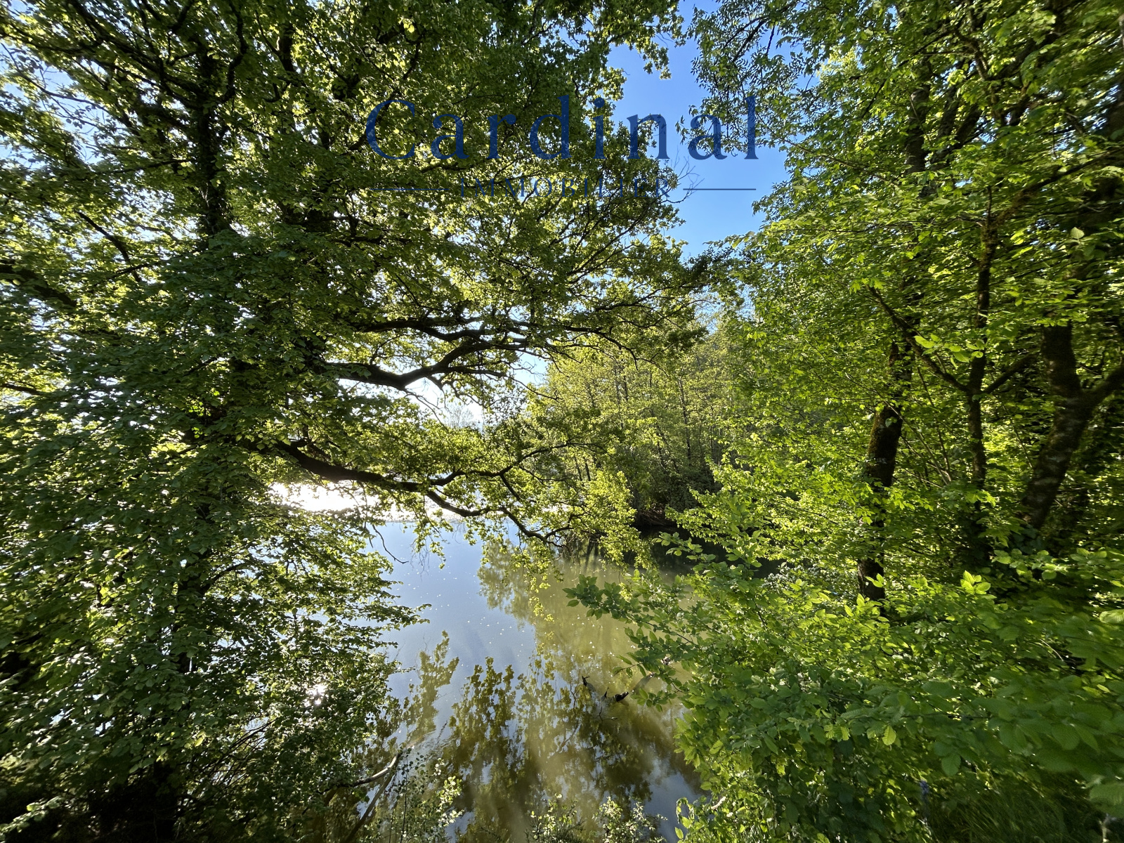 Image_42, Maison, Saint-Astier, ref :Cardinal 54