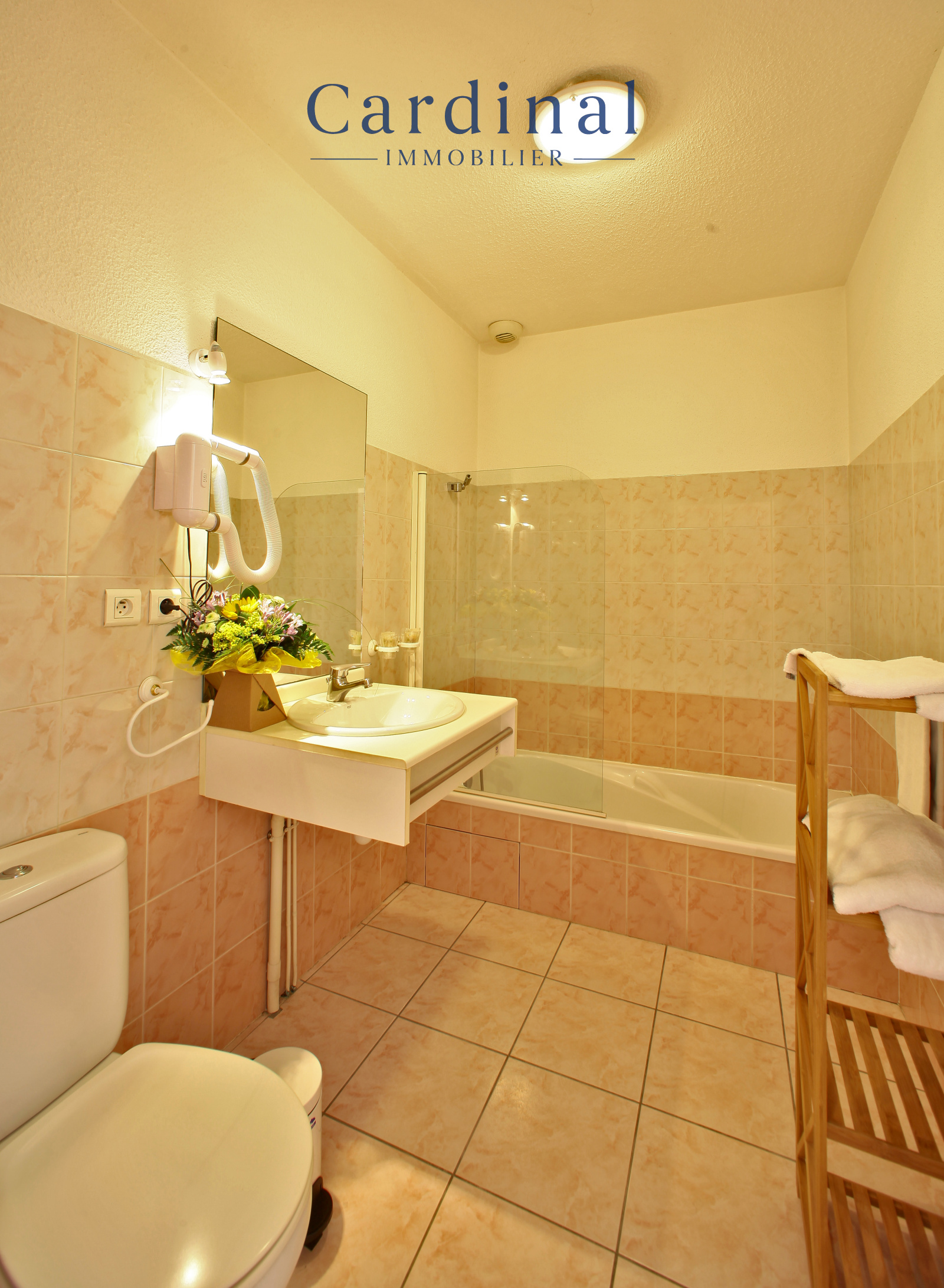 Image_11, Murs commerciaux, Razac-sur-l'Isle, ref :CARD140