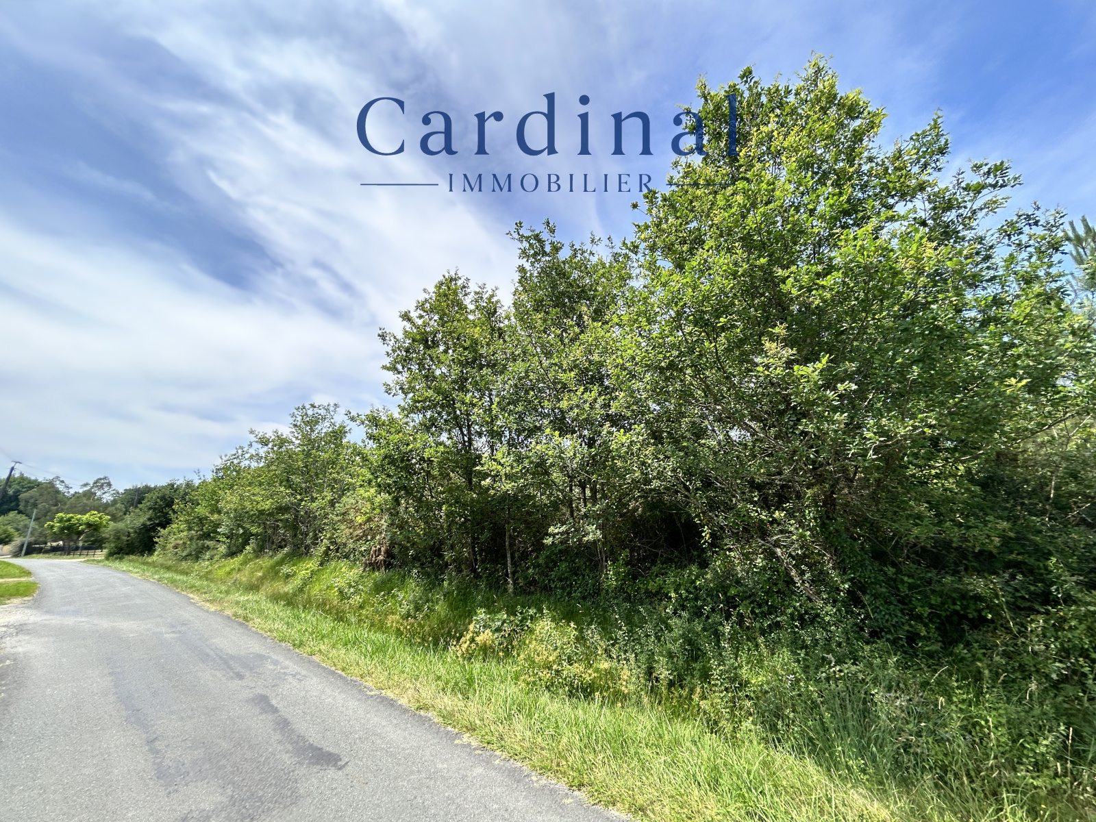 Image_3, Terrain, Vaunac, ref :CARD 133