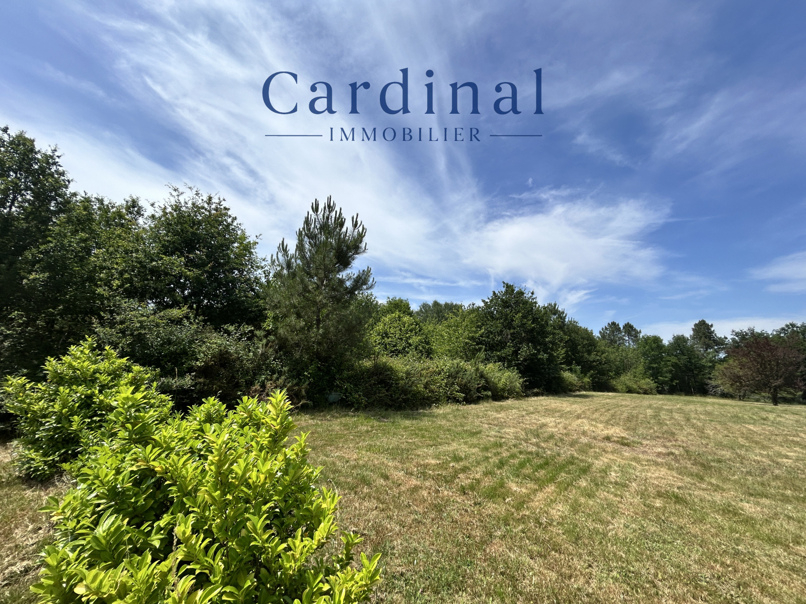 Image_4, Terrain, Vaunac, ref :CARD 133