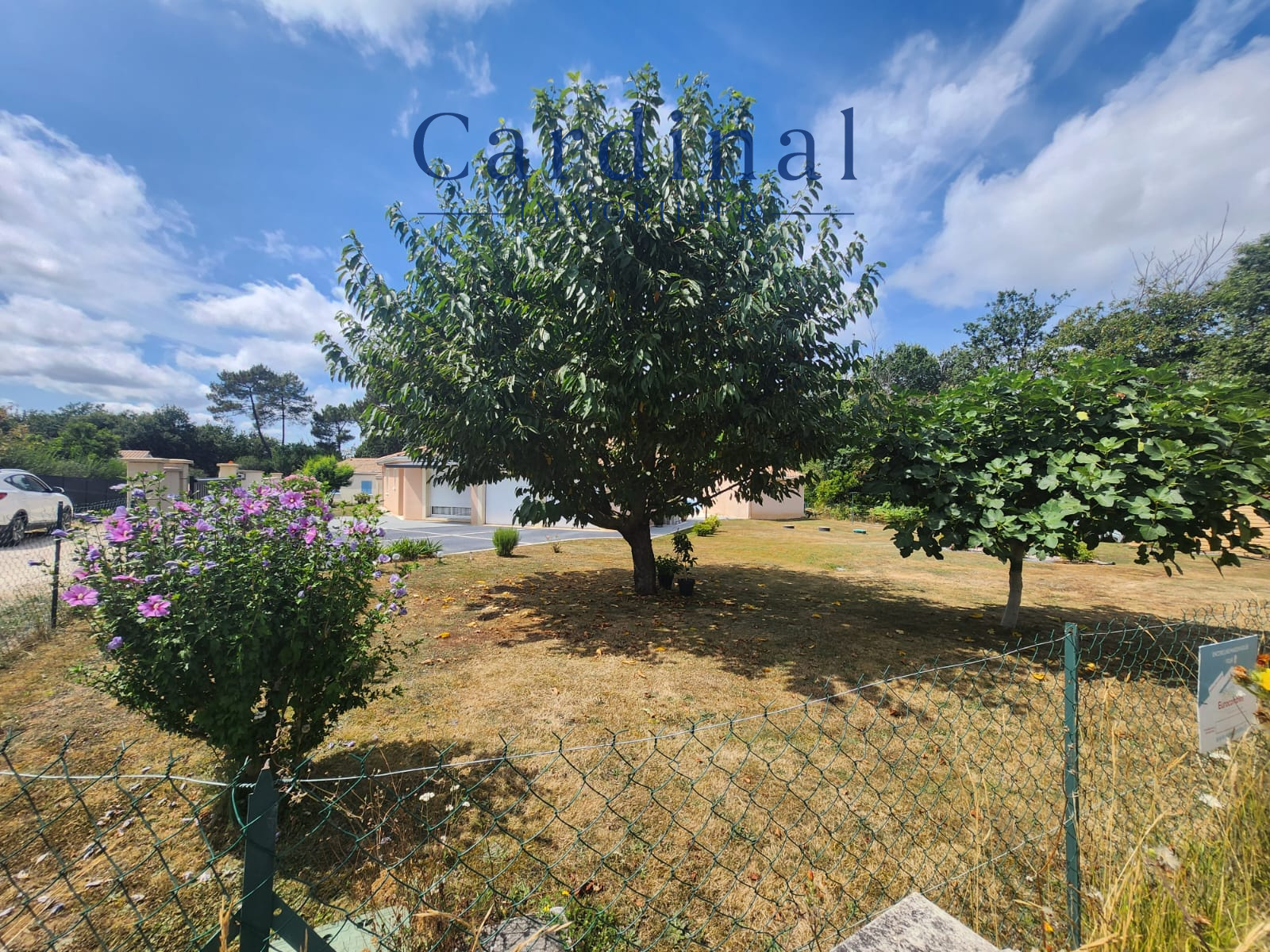 Image_5, Maison, Coursac, ref :CARDINAL 116