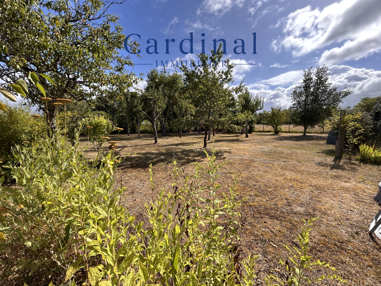 Image_16, Maison, Saint-Léon-sur-l'Isle, ref :CARD 131