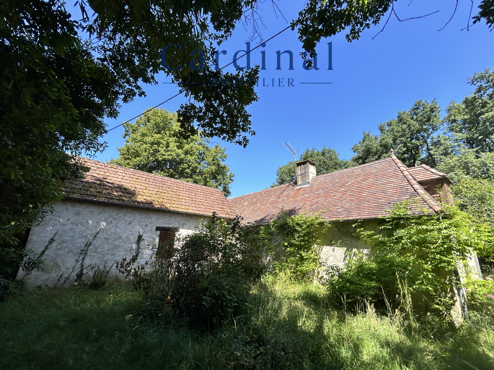 Image_16, Villa, Rouffignac-Saint-Cernin-de-Reilhac, ref :CARDINAL 117