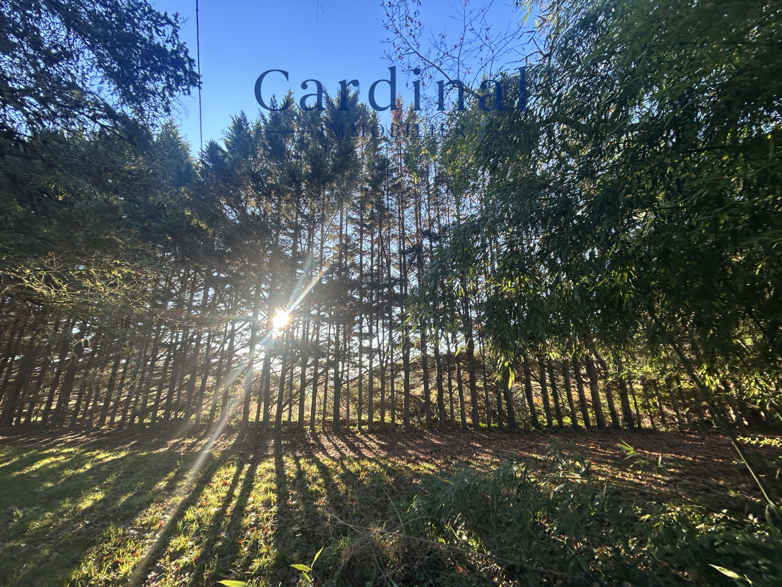 Image_12, Villa, Rouffignac-Saint-Cernin-de-Reilhac, ref :CARDINAL 117