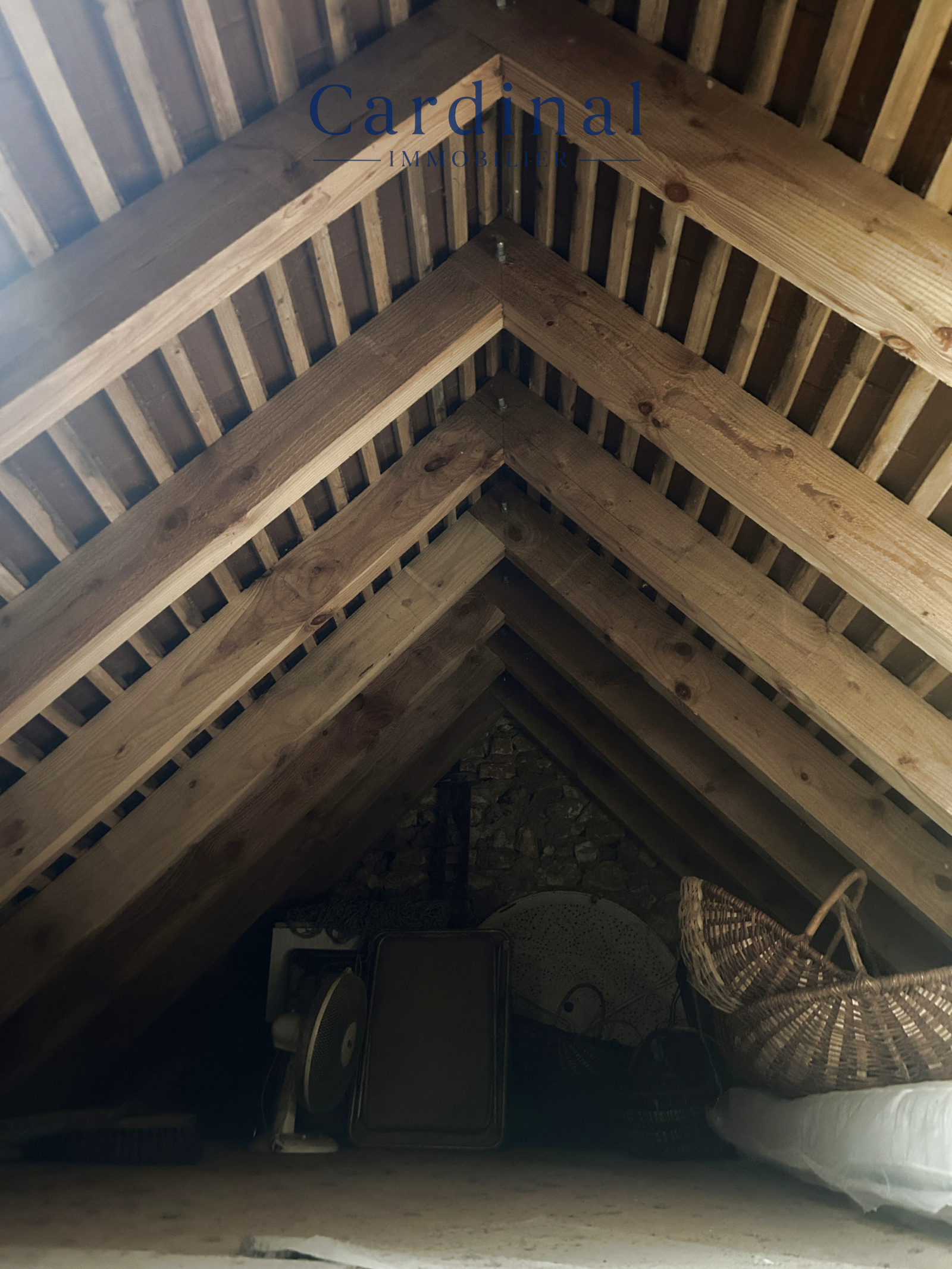 Image_10, Villa, Rouffignac-Saint-Cernin-de-Reilhac, ref :CARDINAL 117