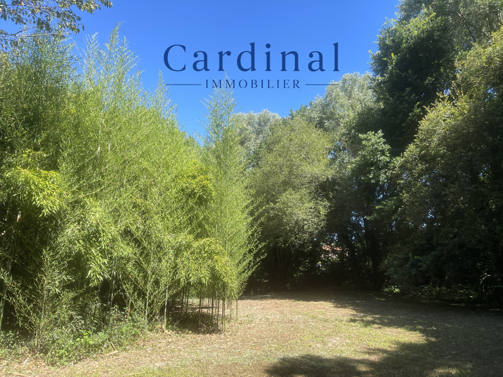 Image_23, Maison, Coursac, ref :CARD40