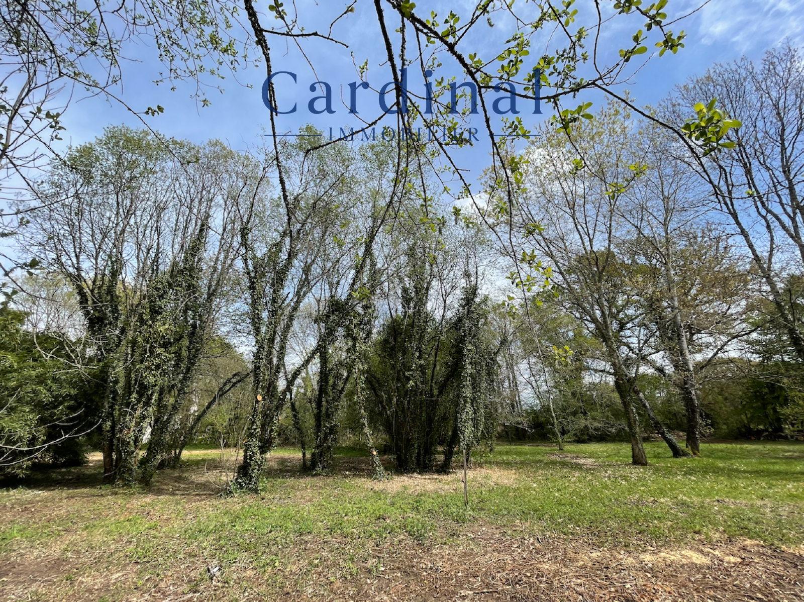 Image_19, Maison, Coursac, ref :CARD40