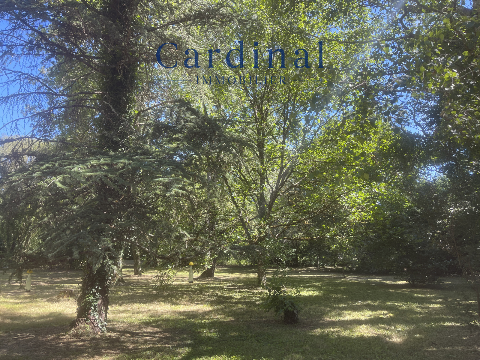 Image_12, Maison, Coursac, ref :CARD40