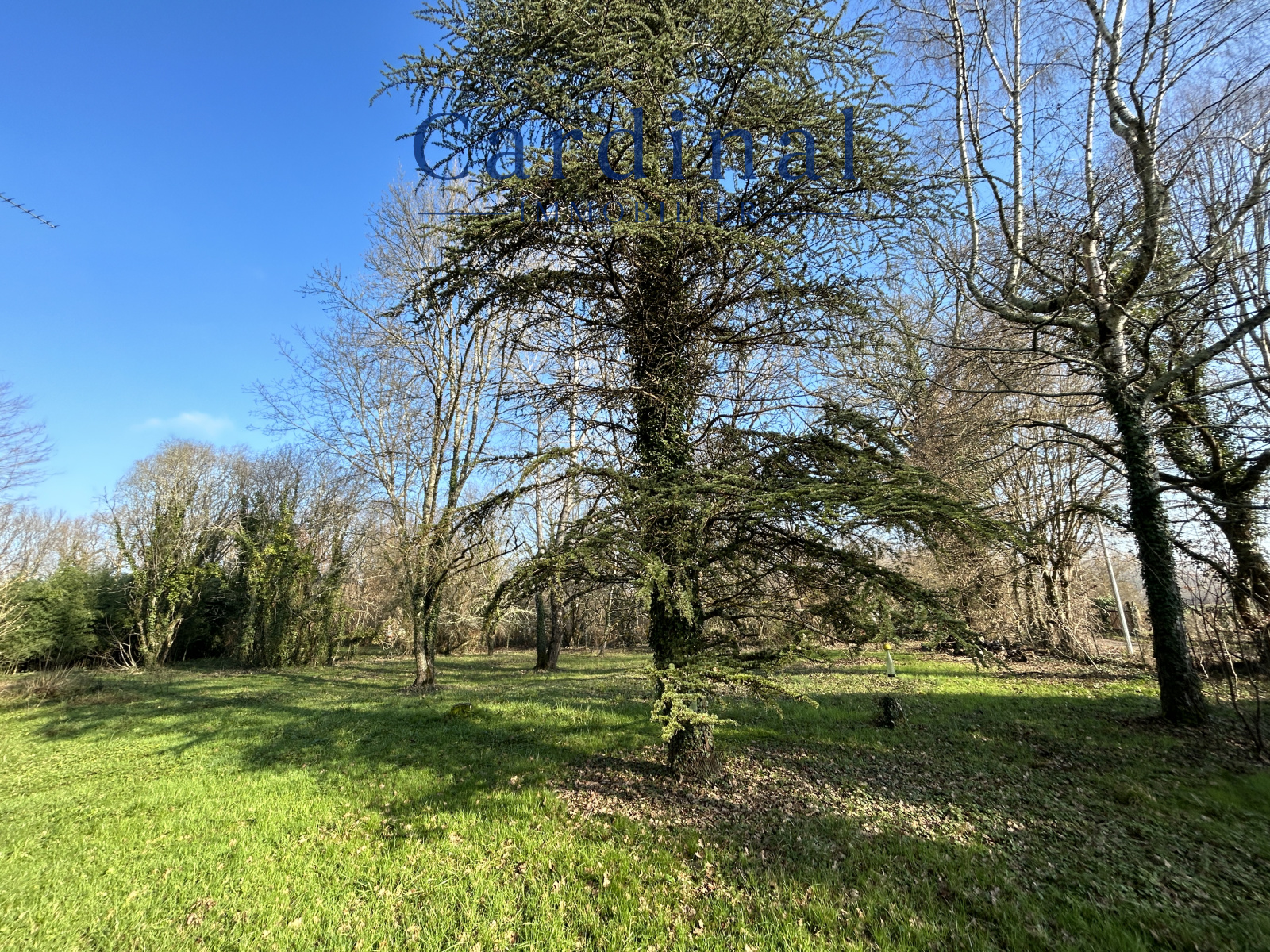 Image_6, Maison, Coursac, ref :CARD40