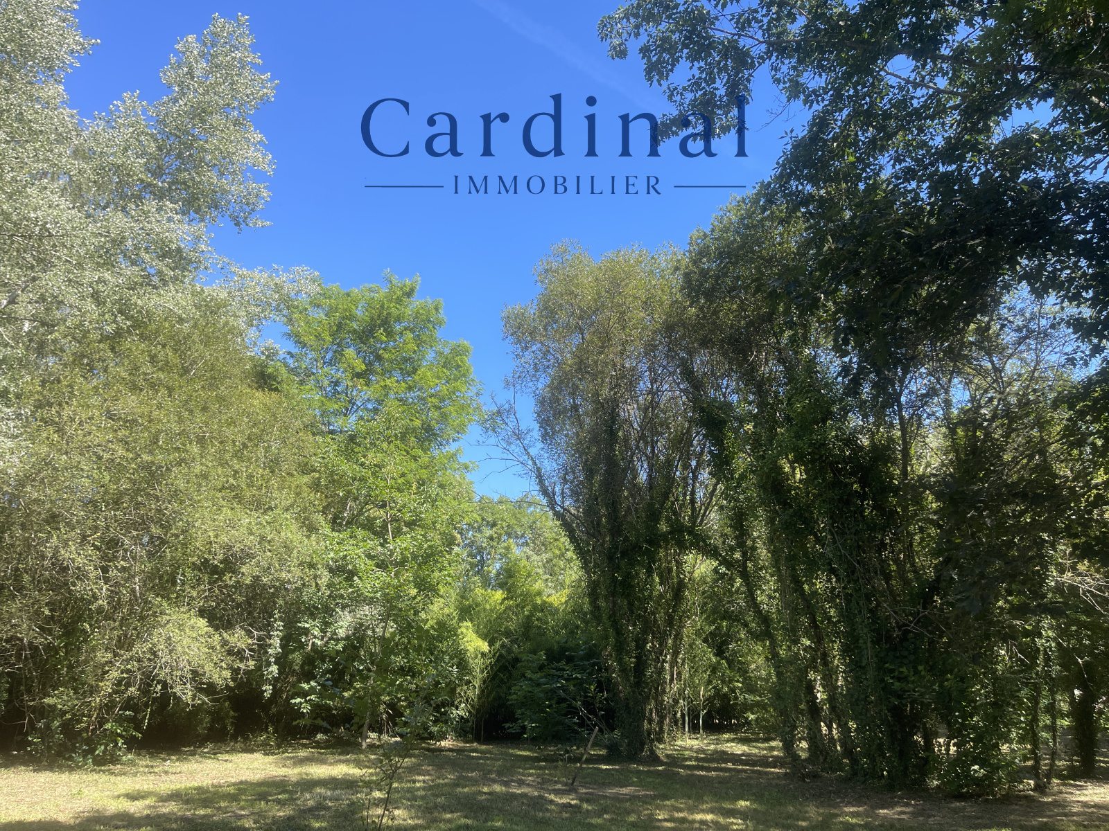 Image_22, Maison, Coursac, ref :CARD40