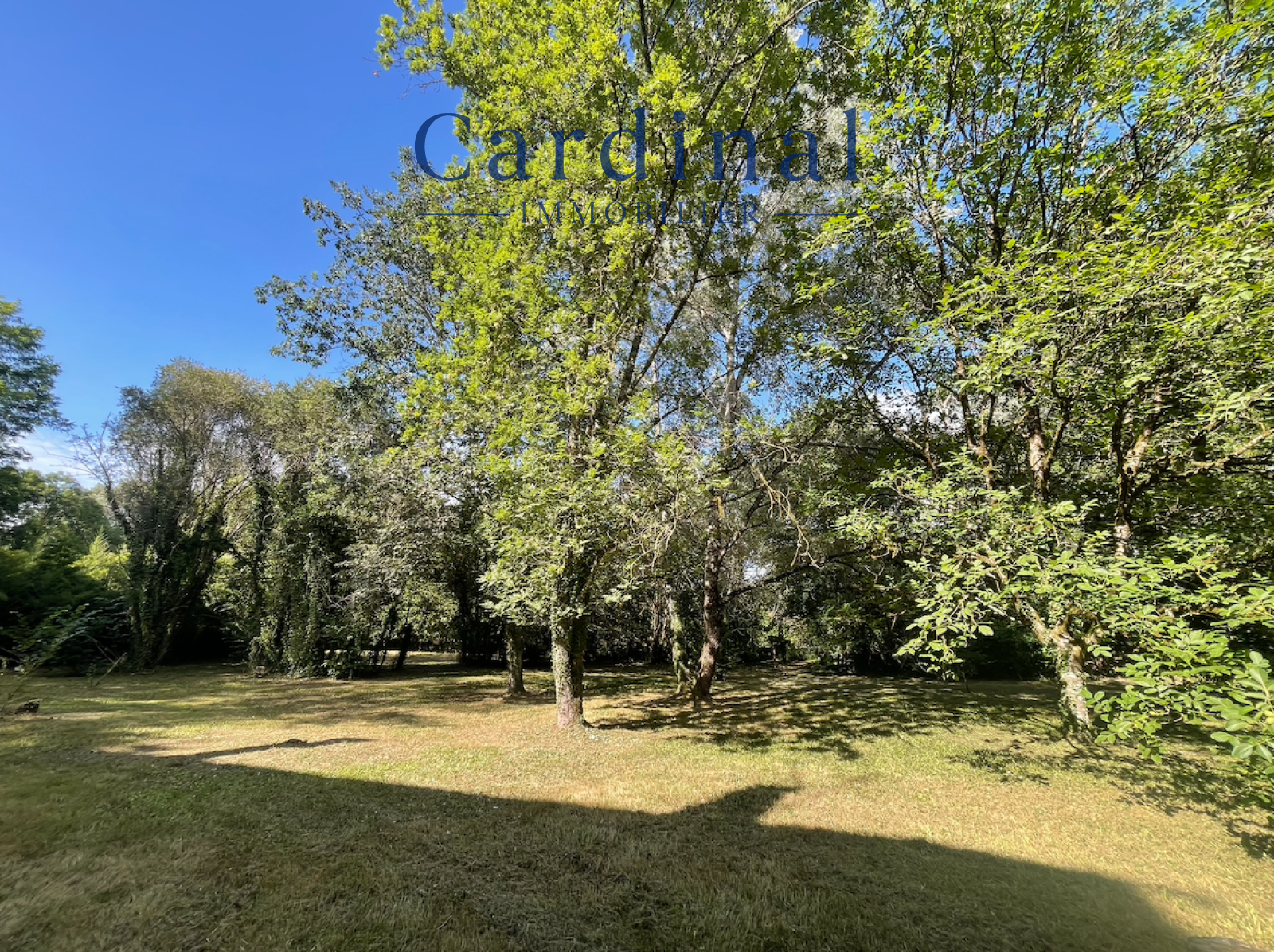 Image_20, Maison, Coursac, ref :CARD40